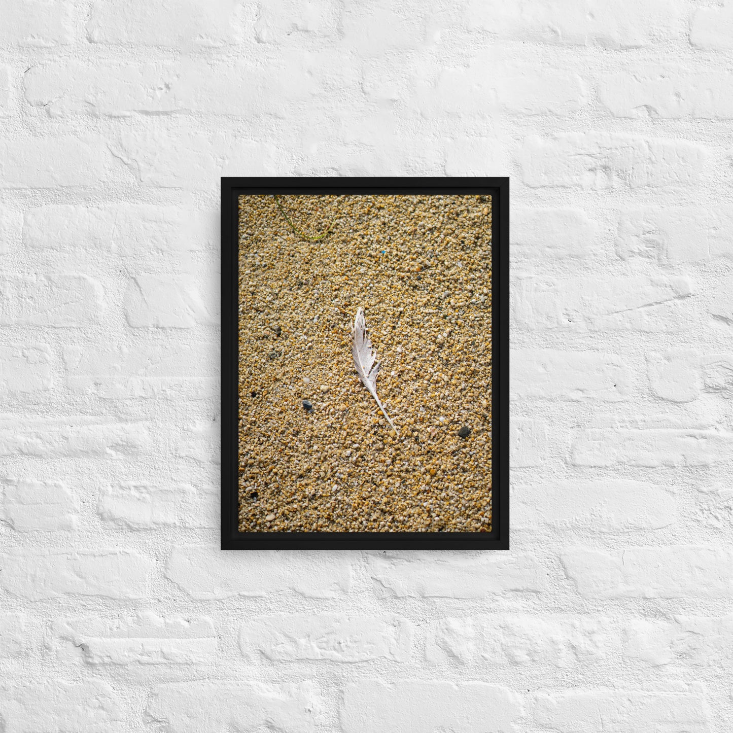 The Lone Feather Framed canvas