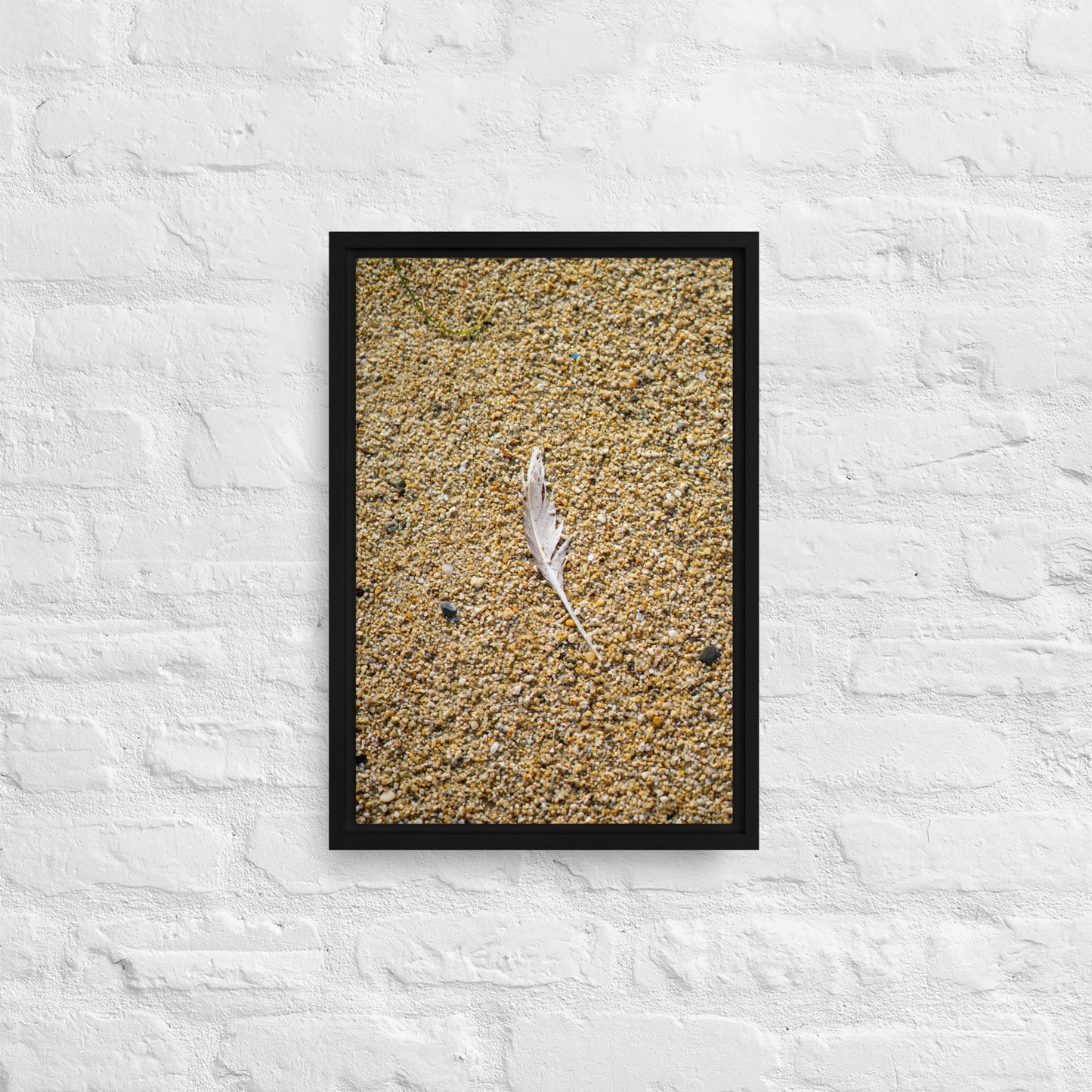 The Lone Feather Framed canvas