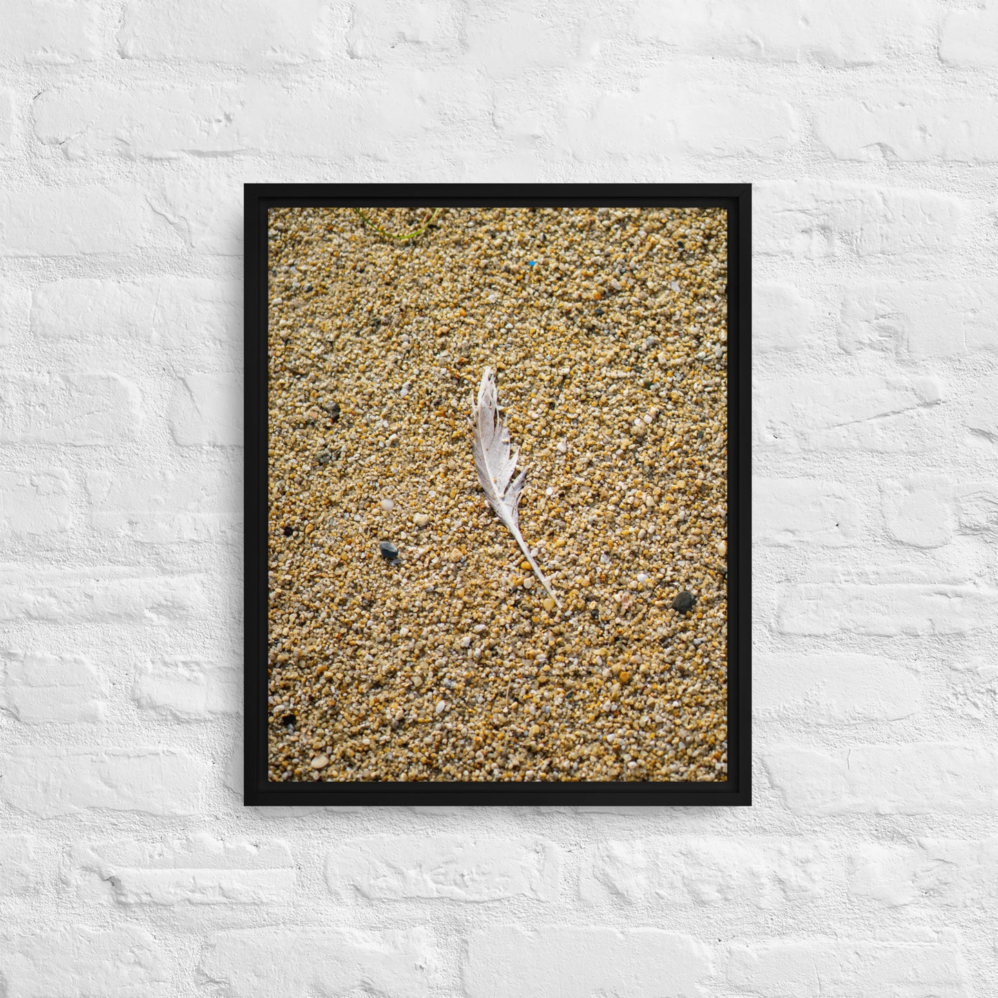 The Lone Feather Framed canvas