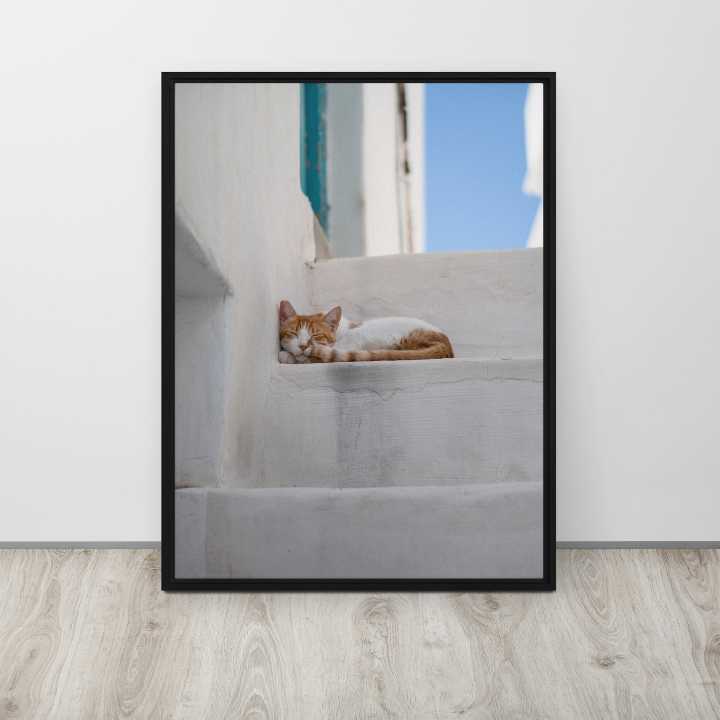 Mykonos Cat Framed canvas