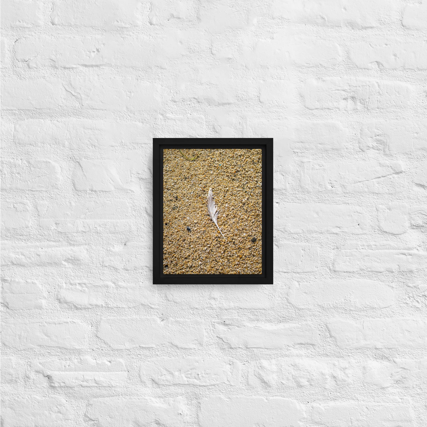 The Lone Feather Framed canvas