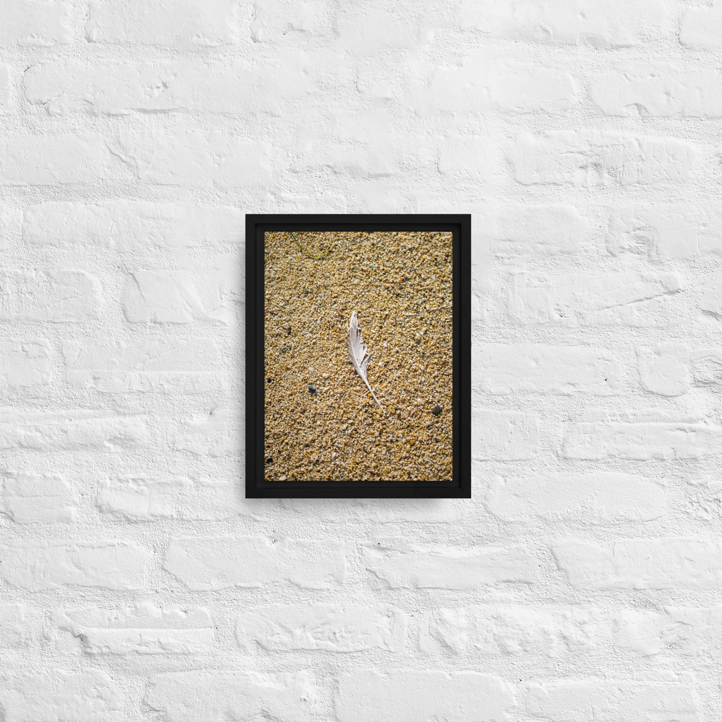 The Lone Feather Framed canvas
