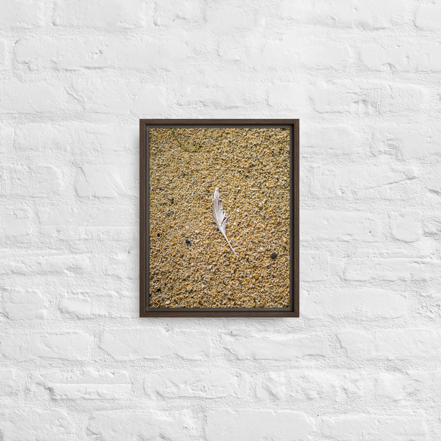 The Lone Feather Framed canvas