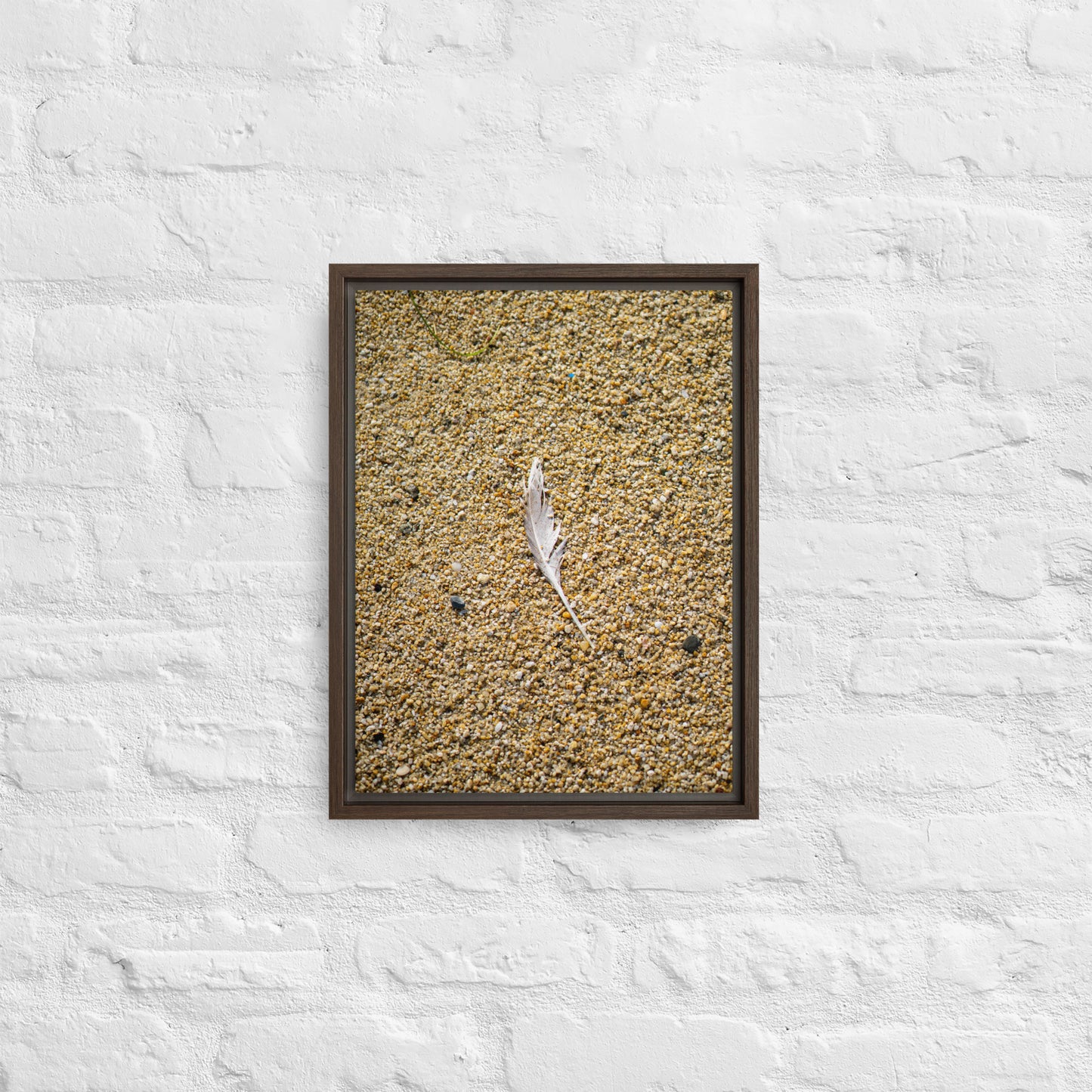 The Lone Feather Framed canvas