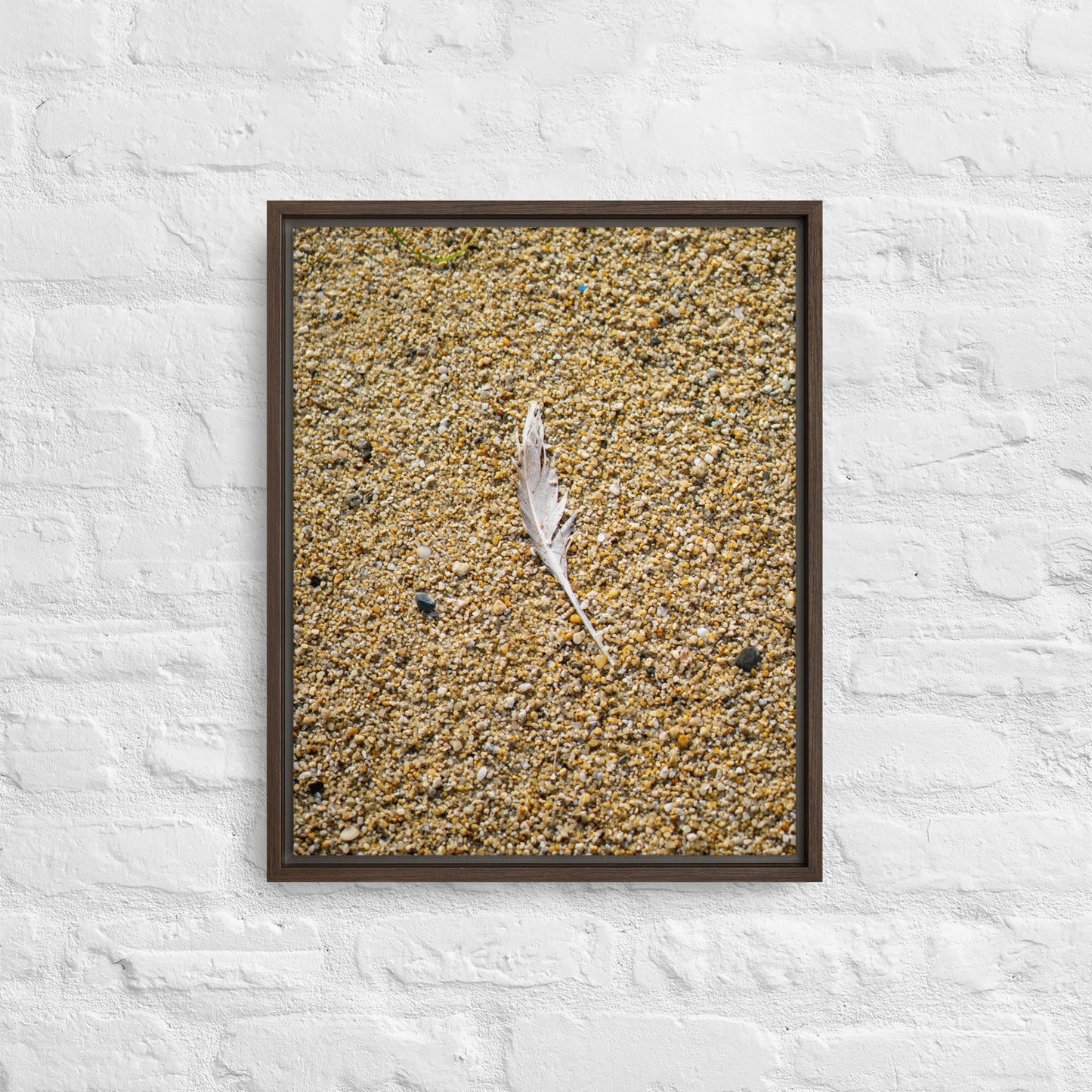 The Lone Feather Framed canvas