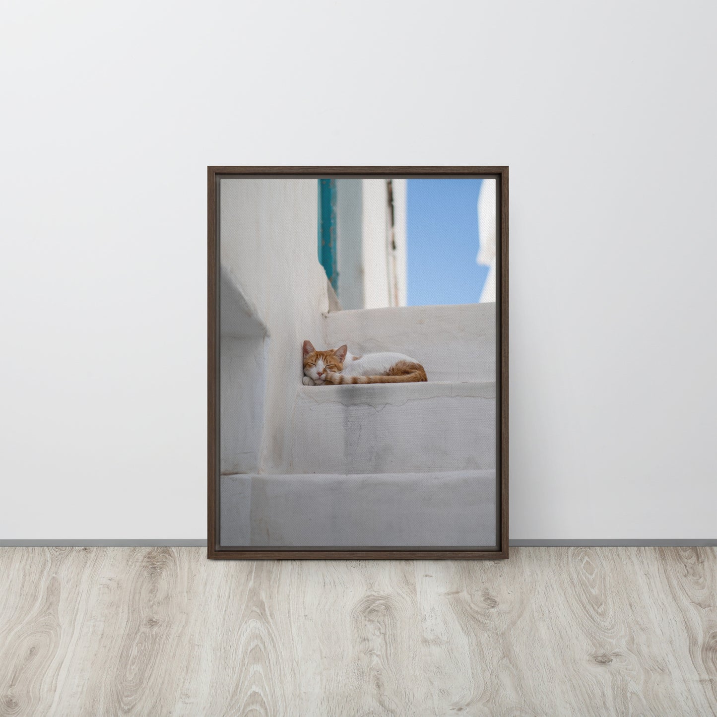 Mykonos Cat Framed canvas