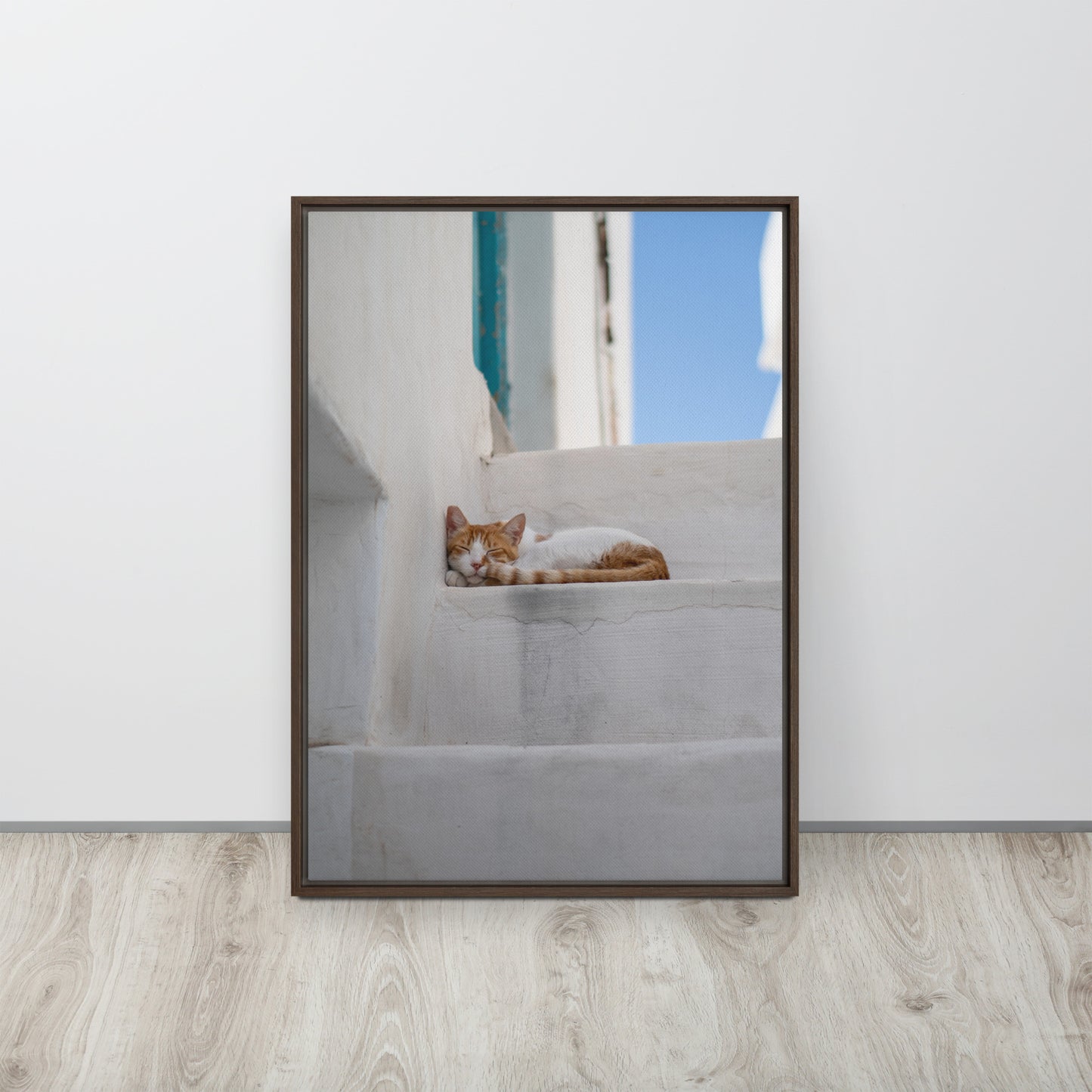 Mykonos Cat Framed canvas