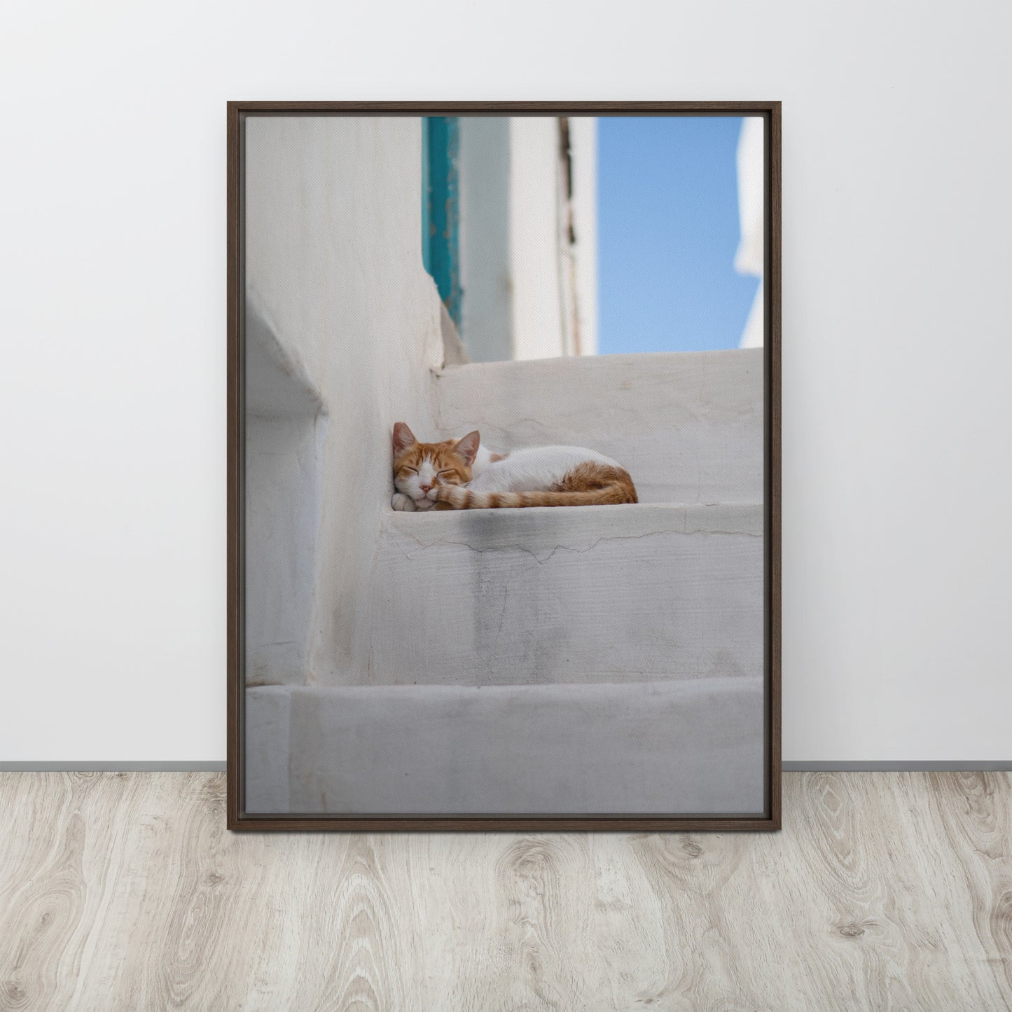 Mykonos Cat Framed canvas