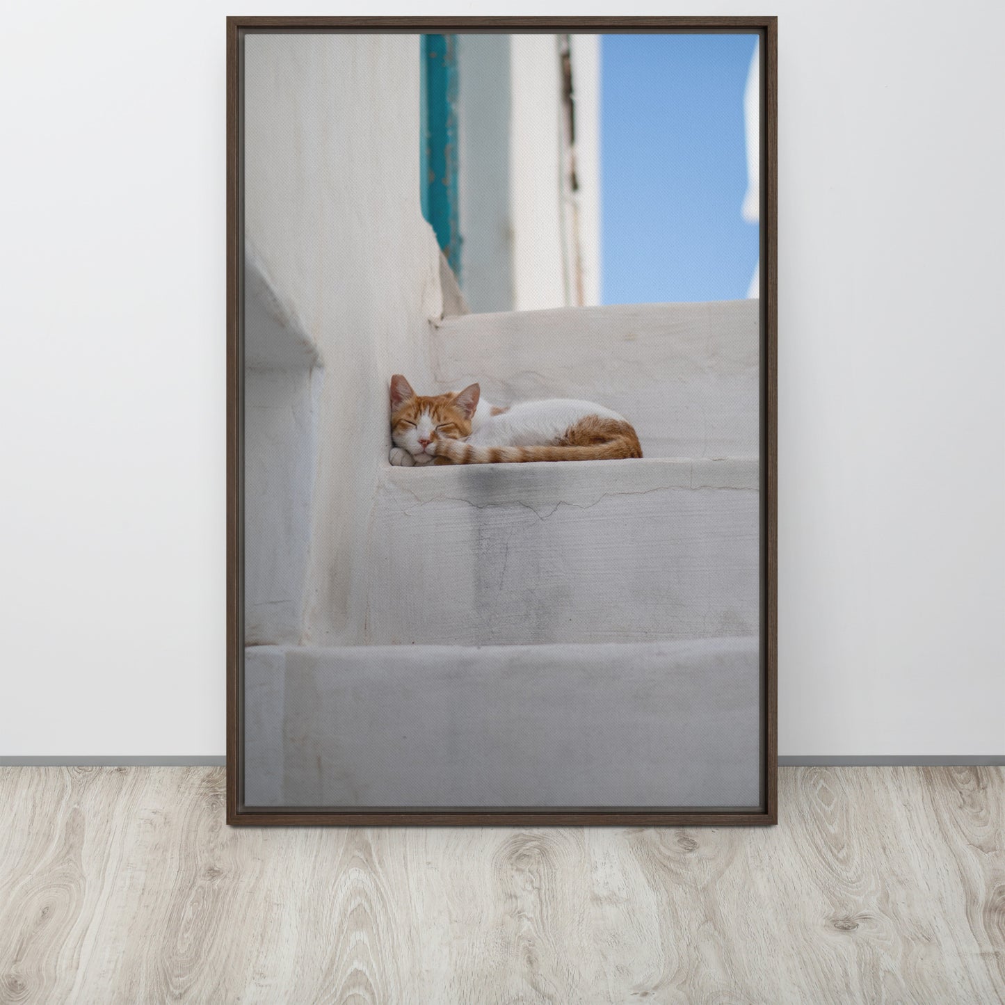 Mykonos Cat Framed canvas