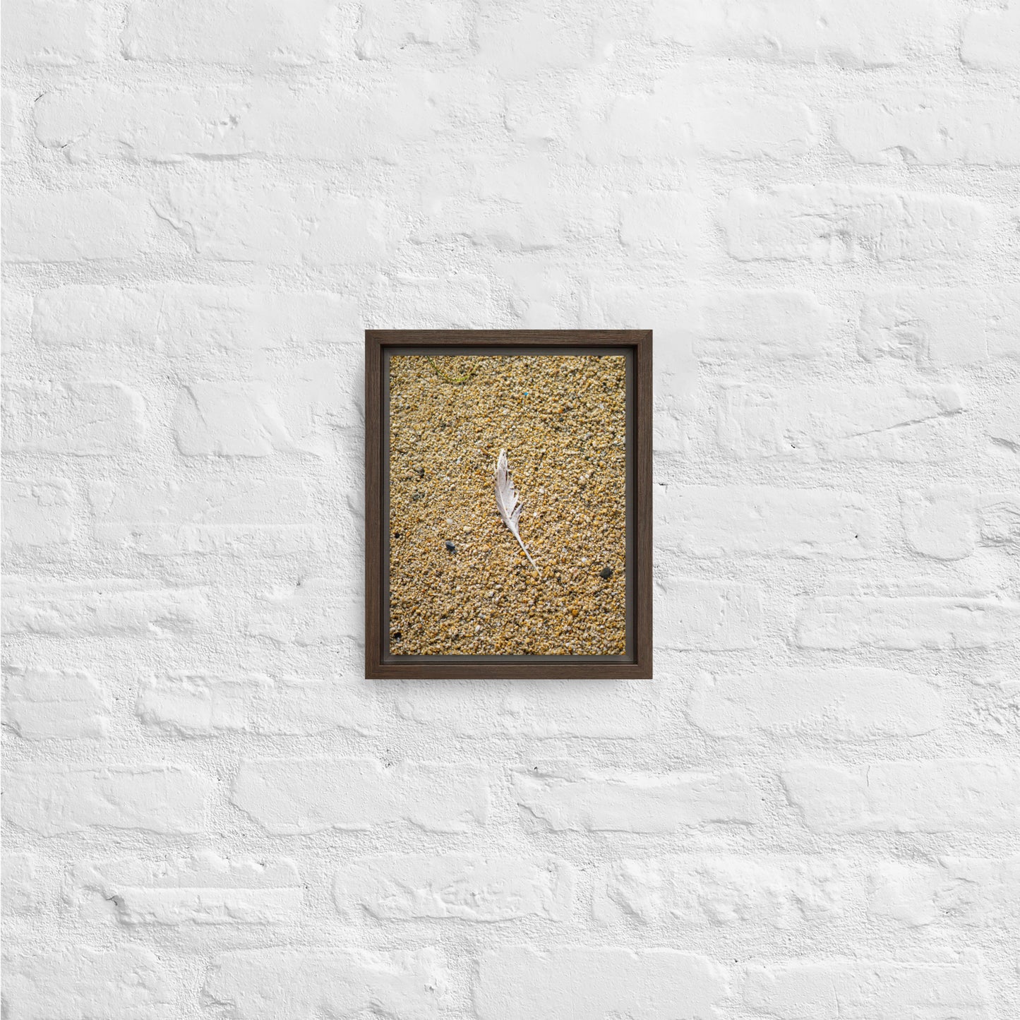 The Lone Feather Framed canvas