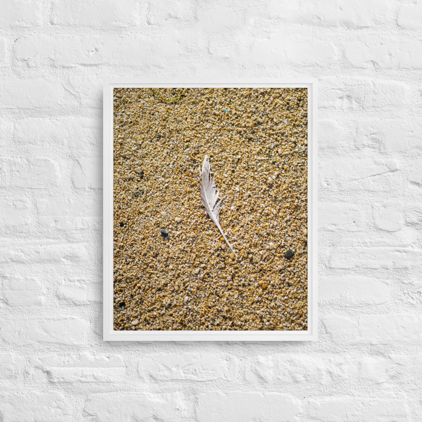 The Lone Feather Framed canvas
