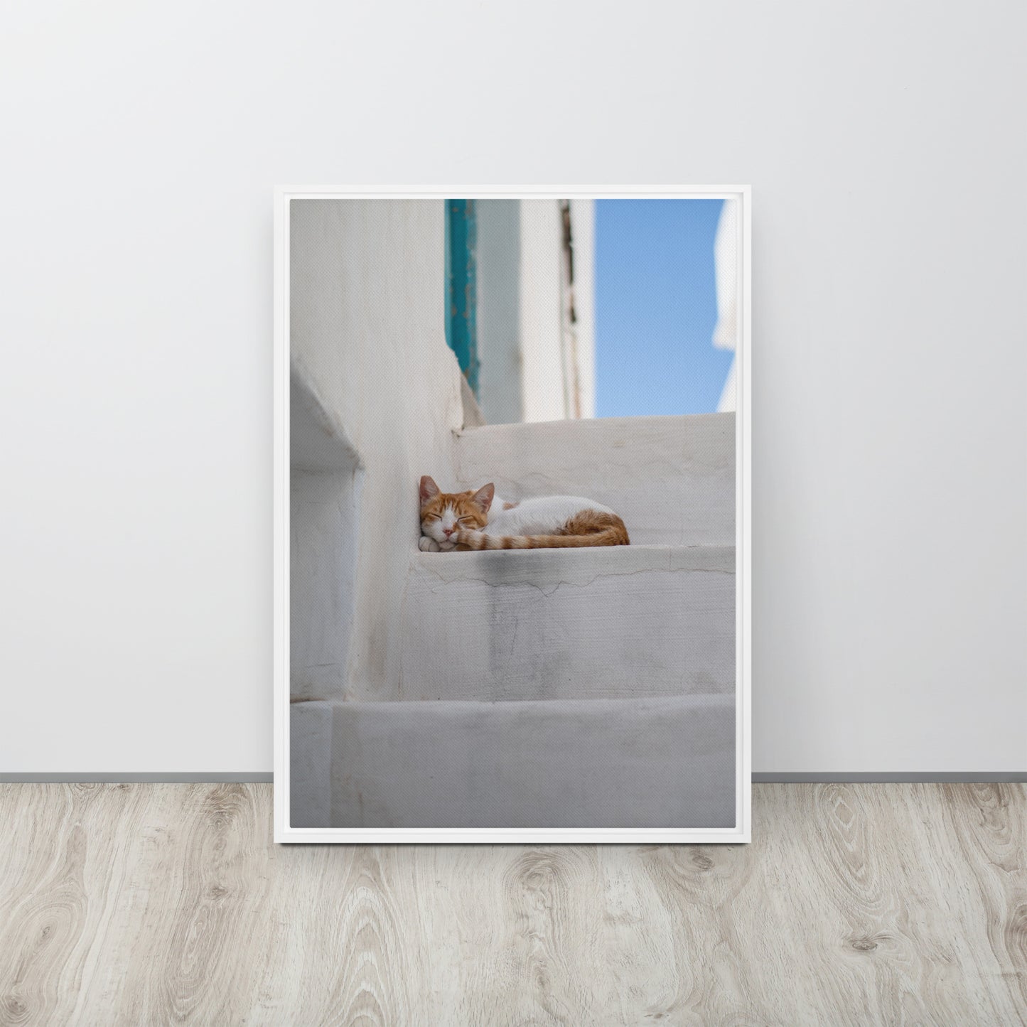 Mykonos Cat Framed canvas