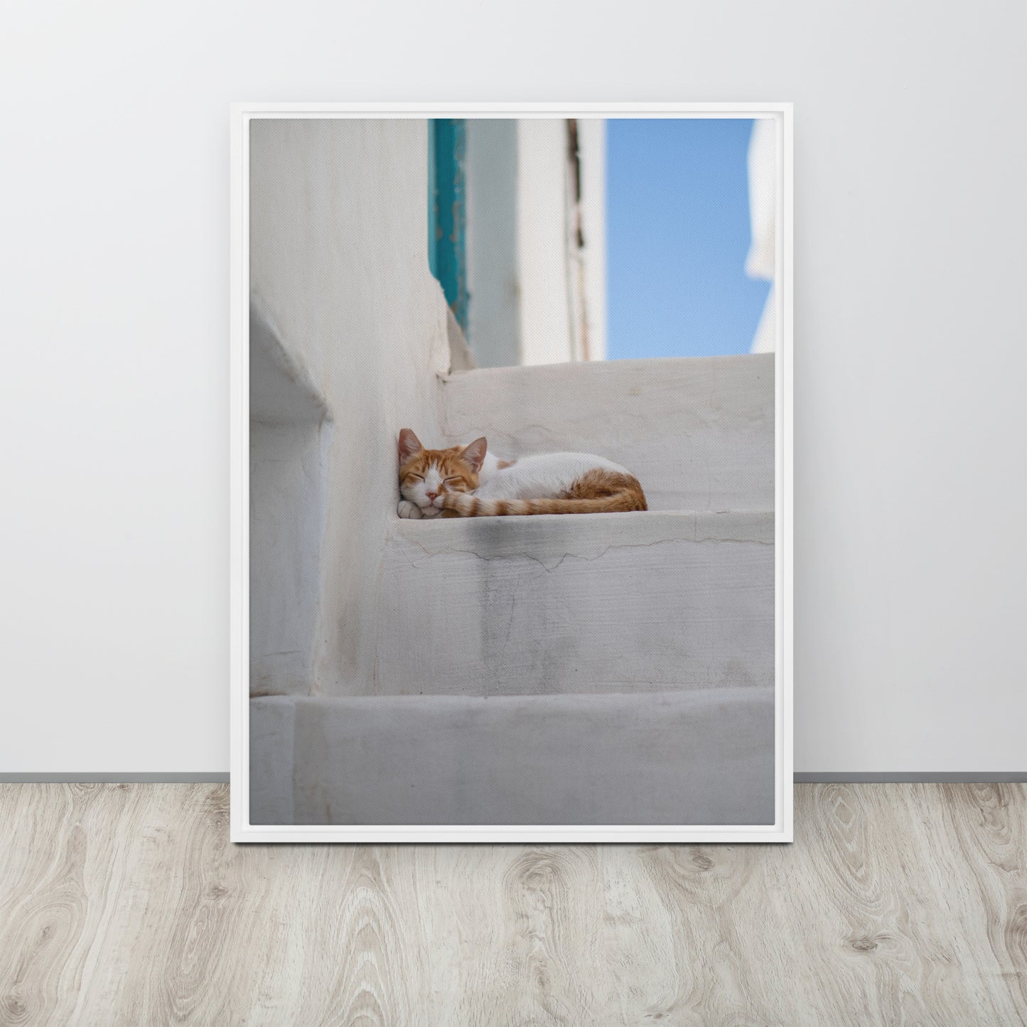 Mykonos Cat Framed canvas