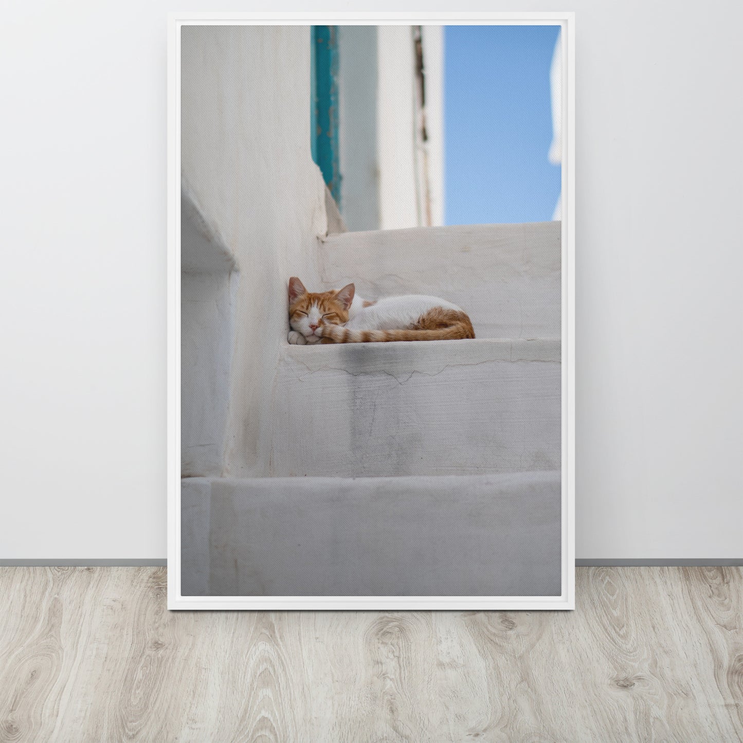 Mykonos Cat Framed canvas