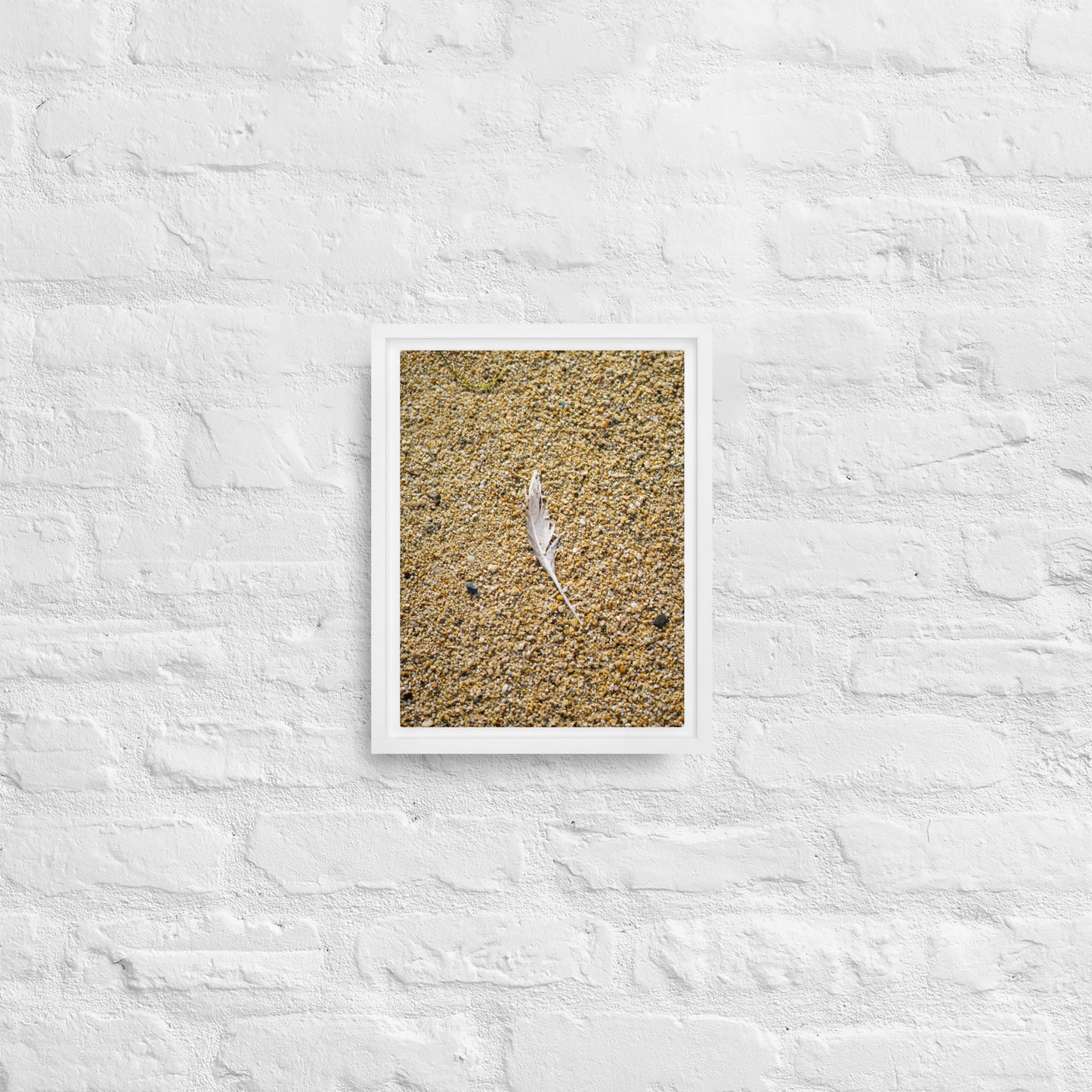 The Lone Feather Framed canvas