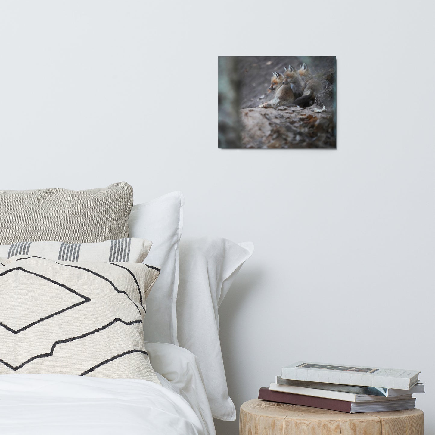 Three Fox Kits (Look) Metal prints