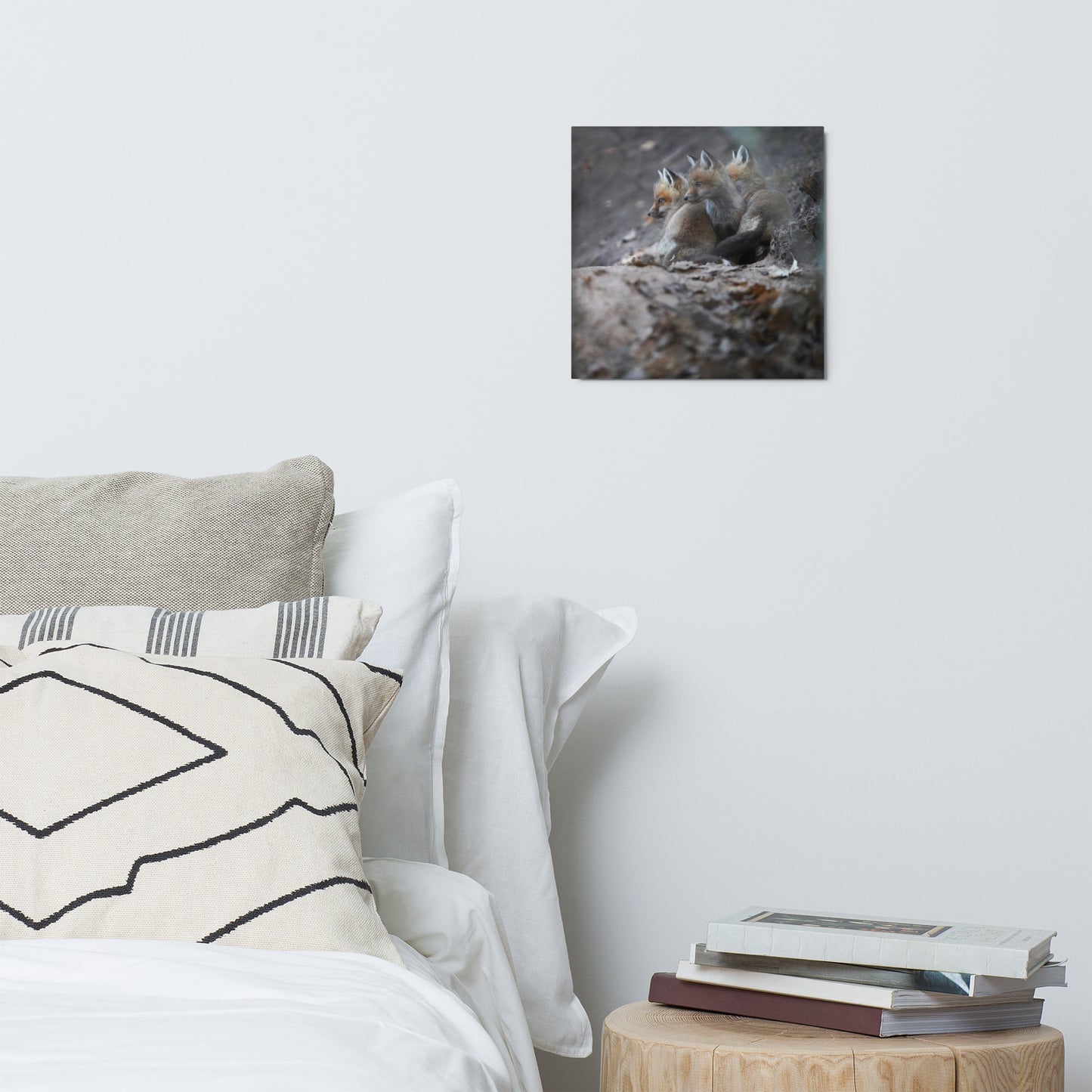 Three Fox Kits (Look) Metal prints