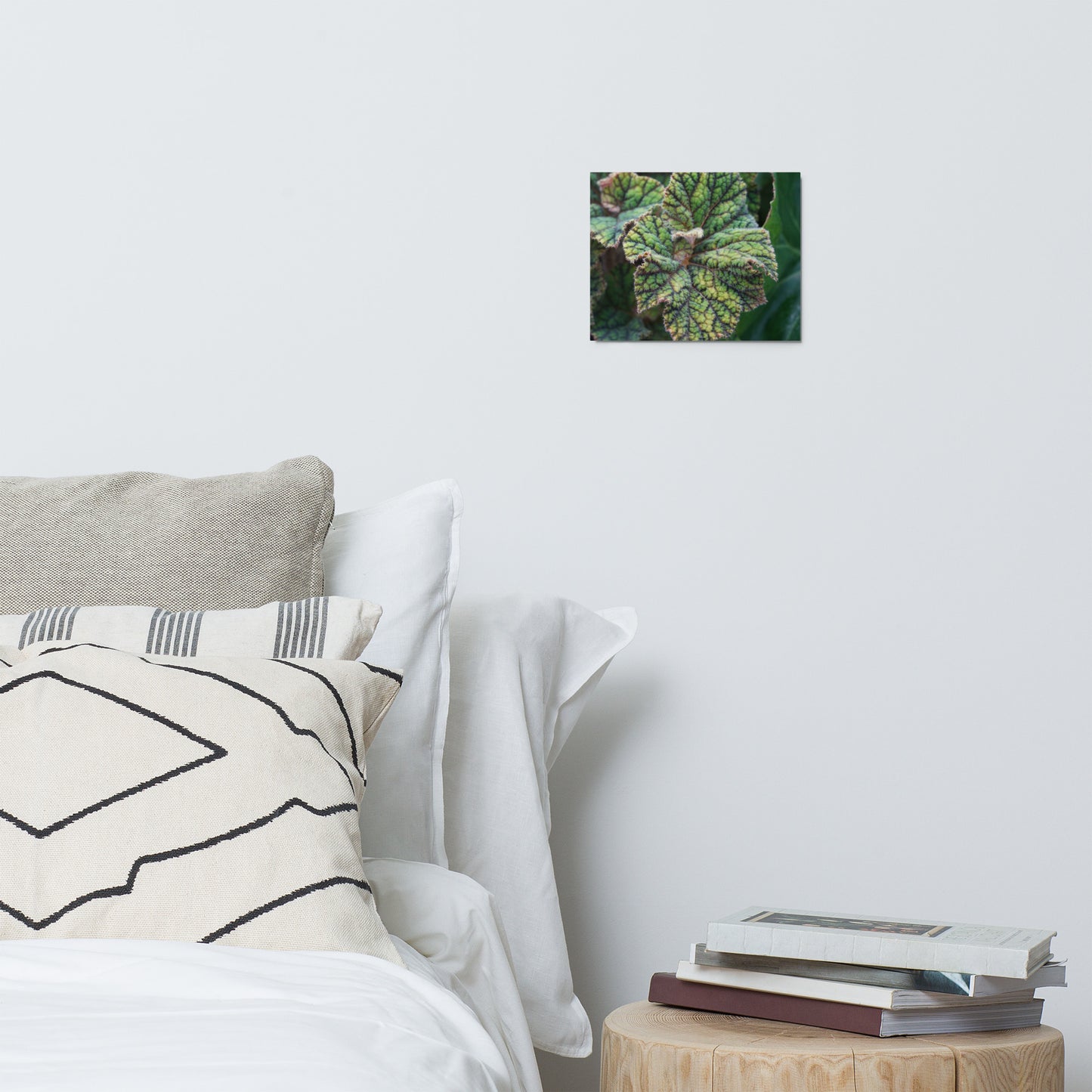 Begonia Leaf Metal Print