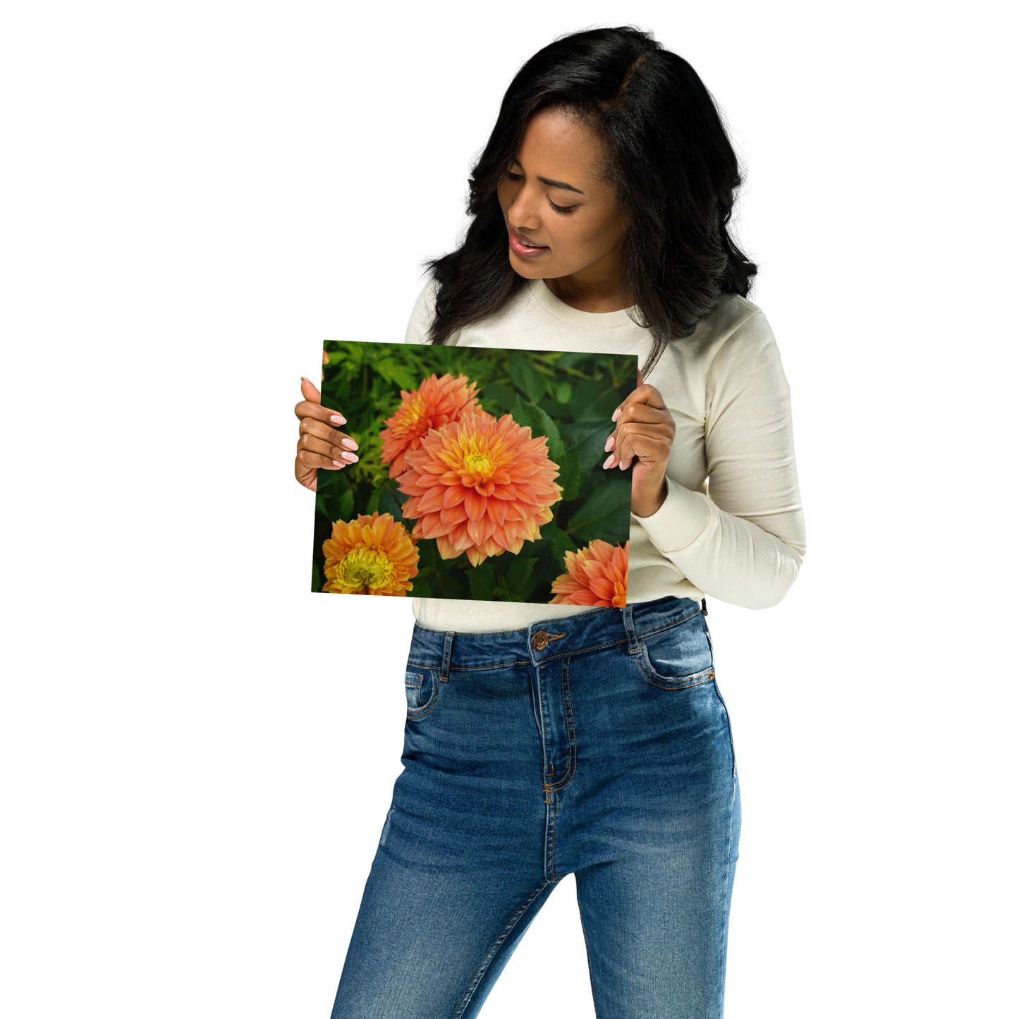 Dahlia Dance Metal Print
