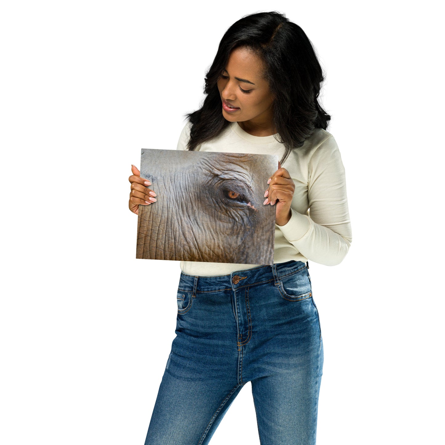 The Elephant's Eye Metal Print