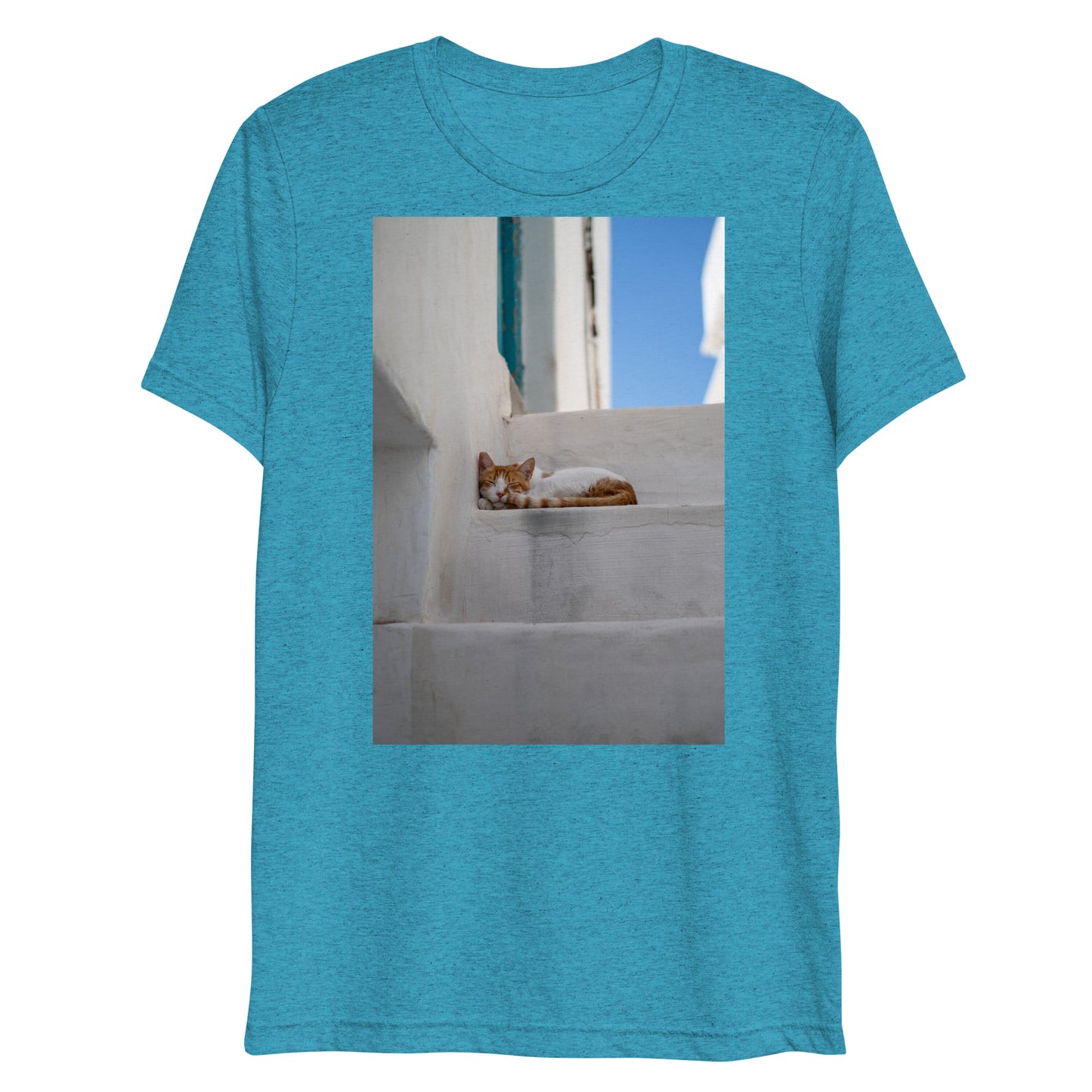 Mykonos Cat T