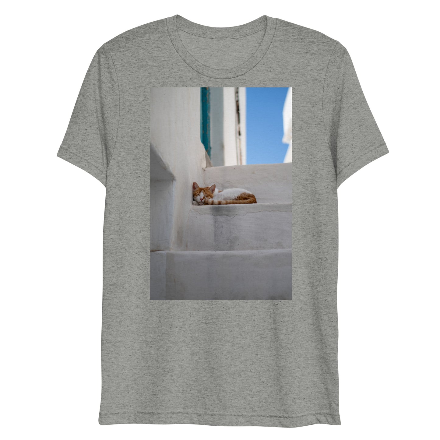 Mykonos Cat T