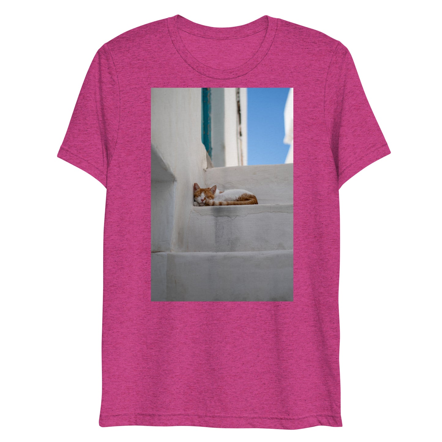 Mykonos Cat T