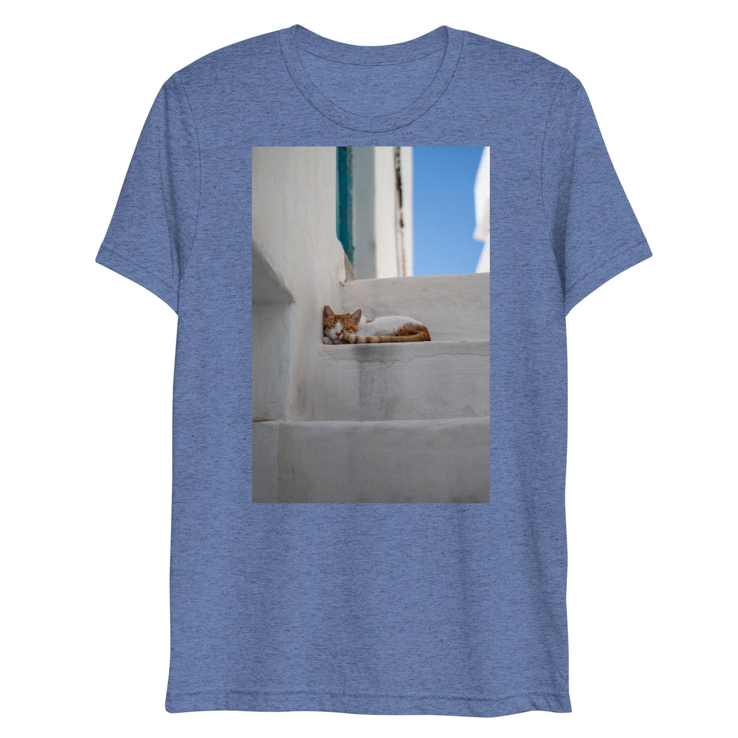 Mykonos Cat T
