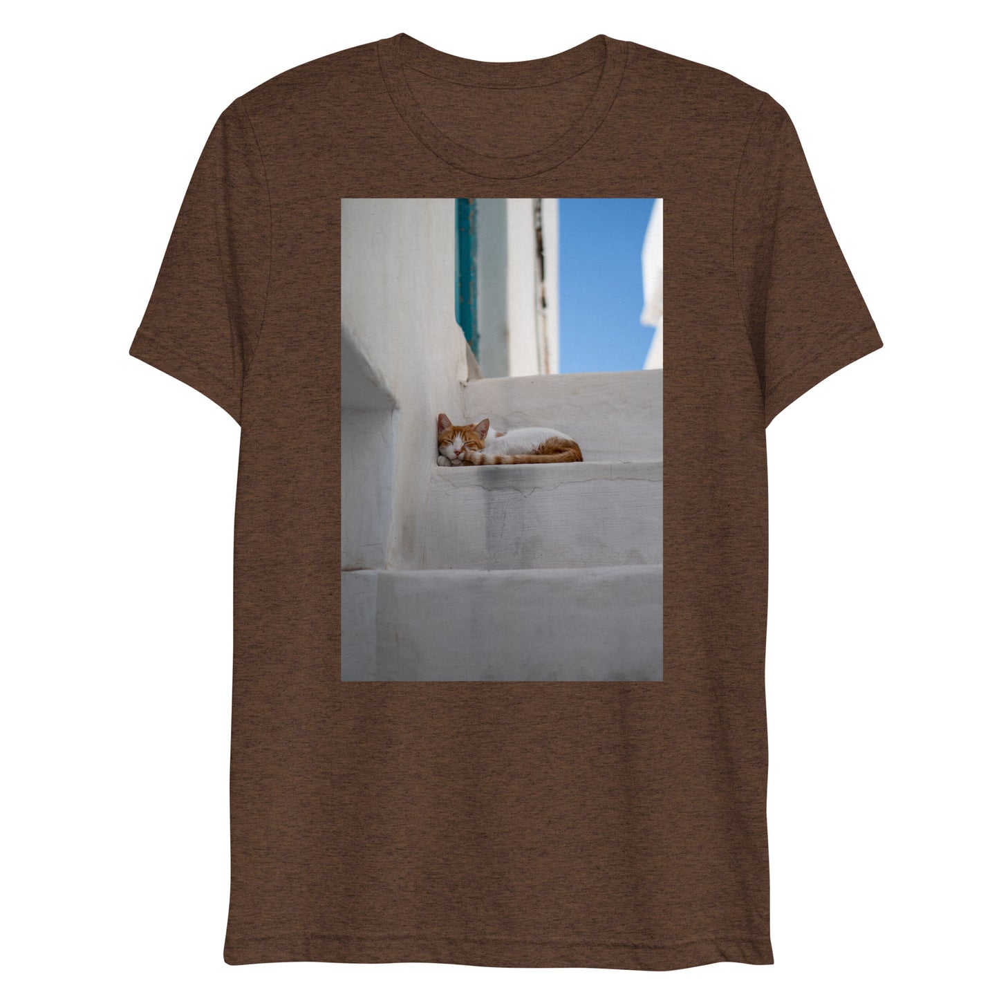 Mykonos Cat T
