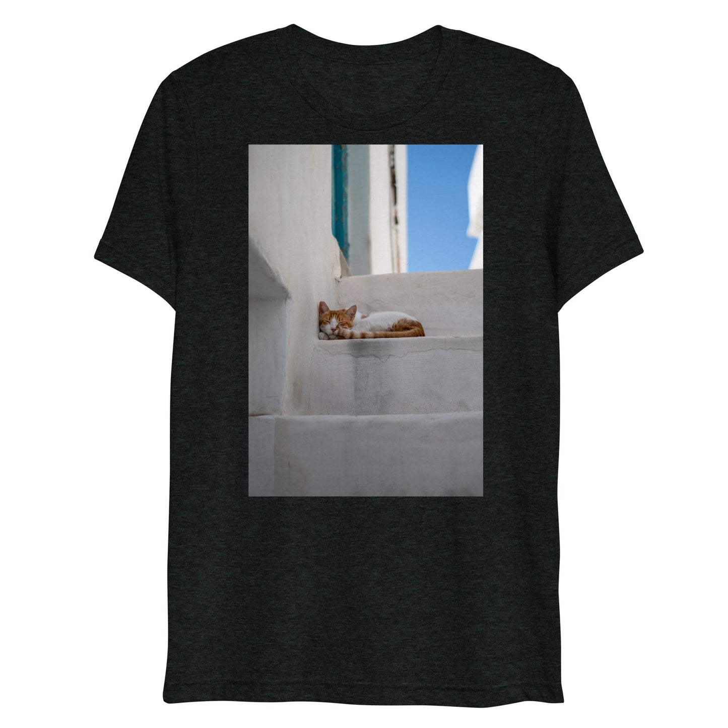 Mykonos Cat T