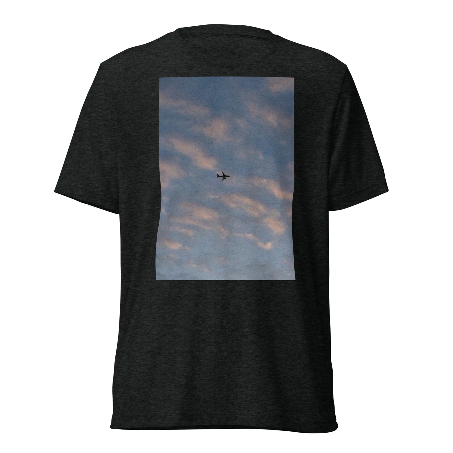 In Flight T