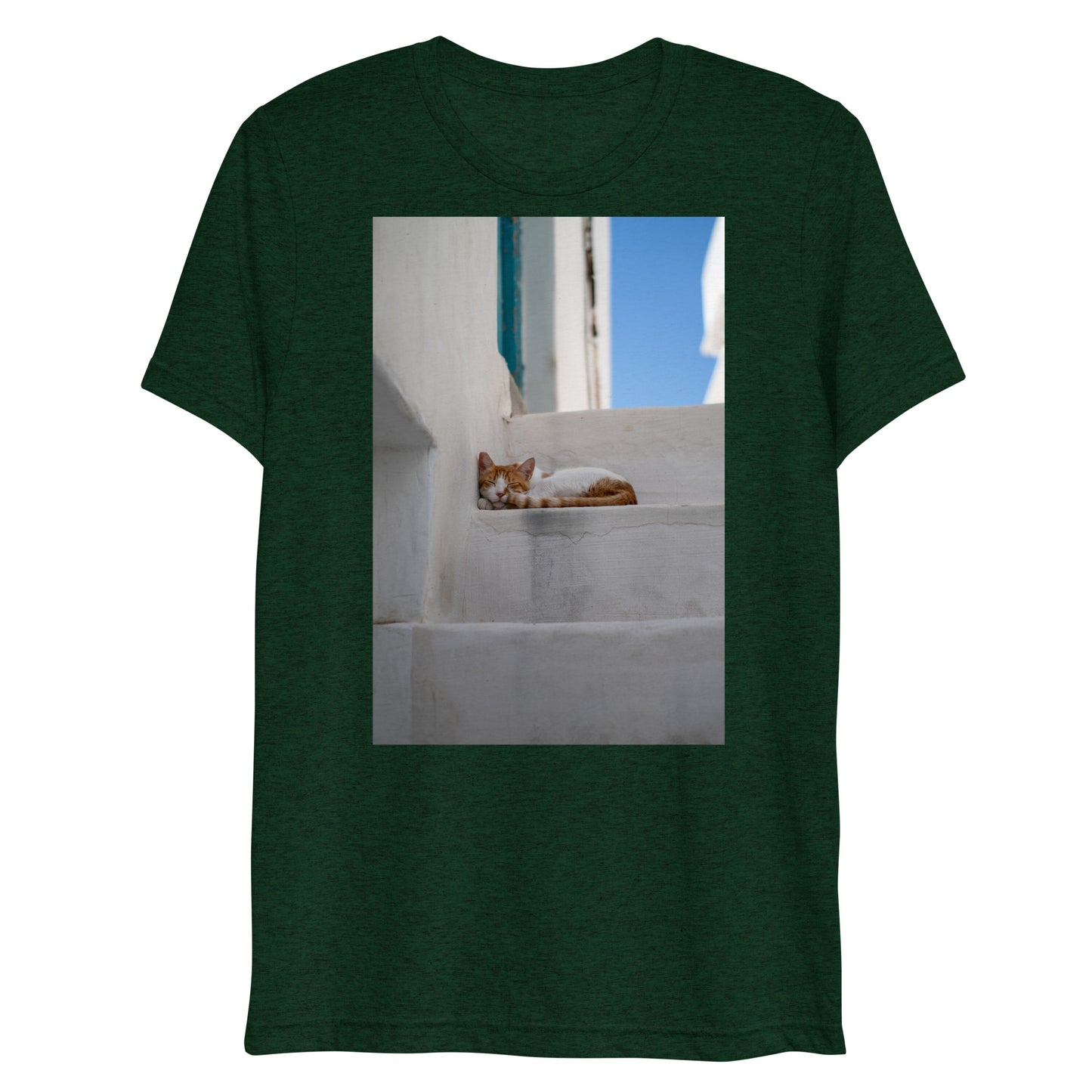Mykonos Cat T