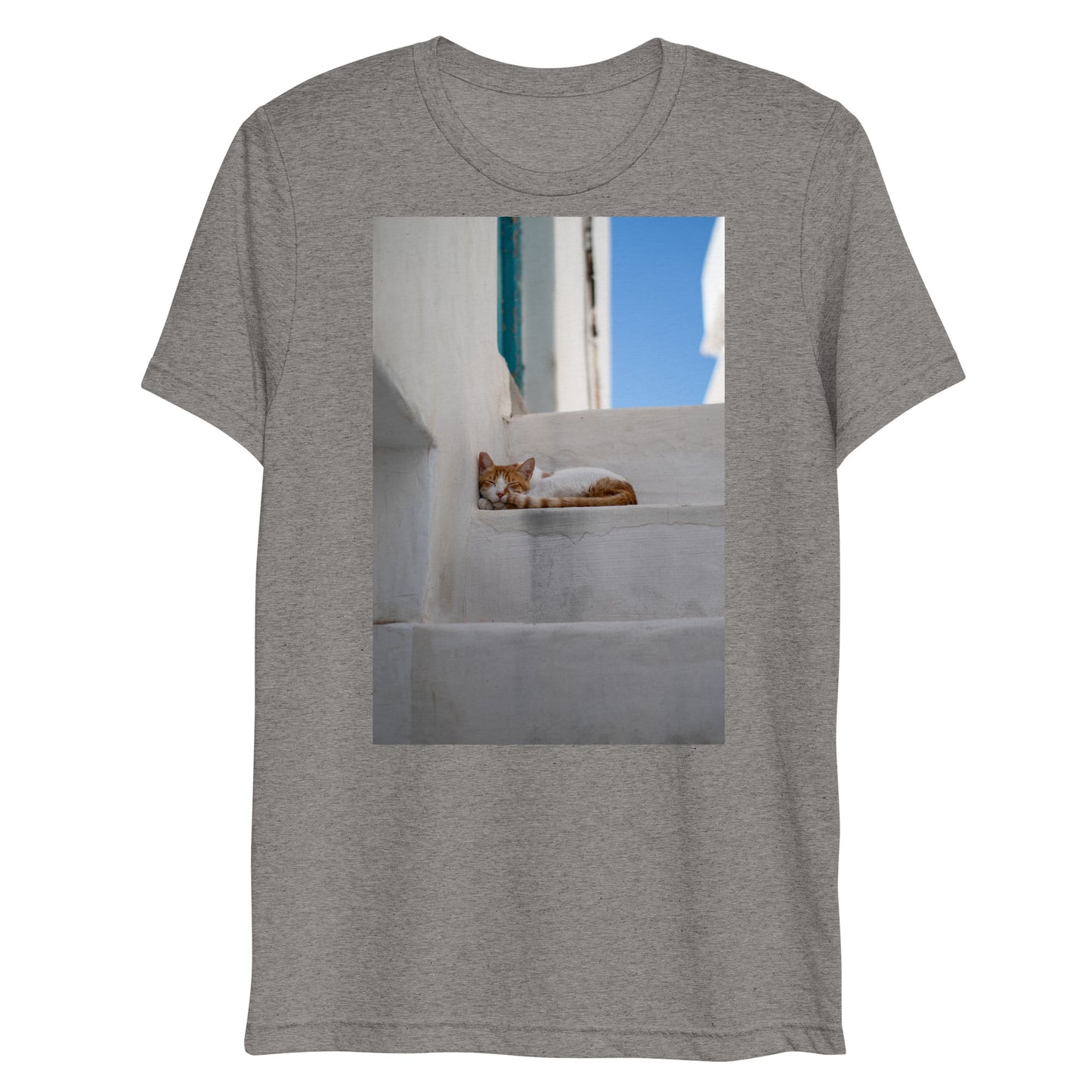 Mykonos Cat T