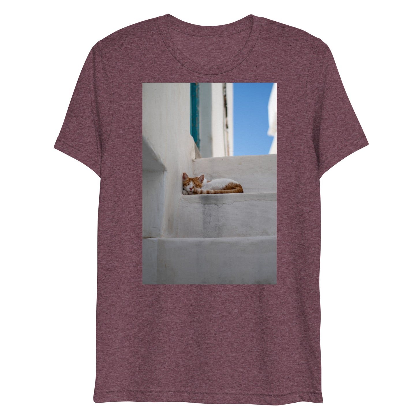 Mykonos Cat T