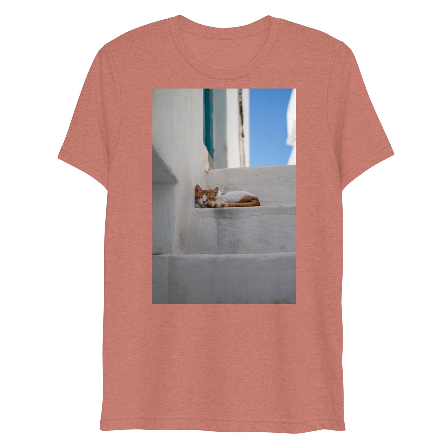 Mykonos Cat T