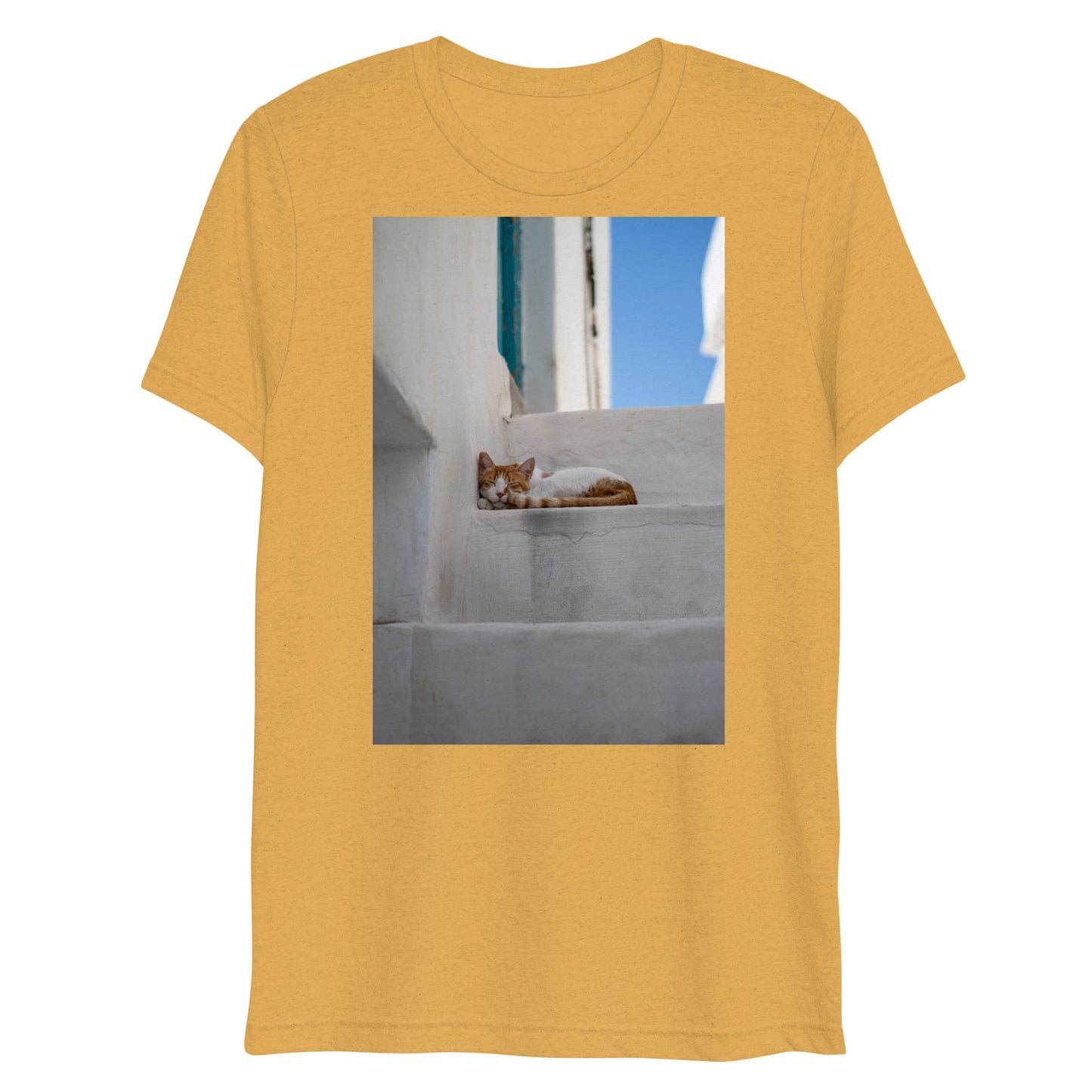Mykonos Cat T