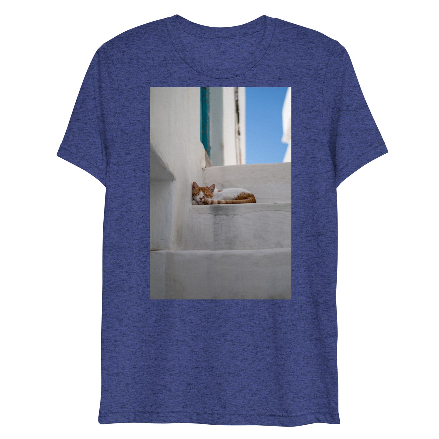 Mykonos Cat T