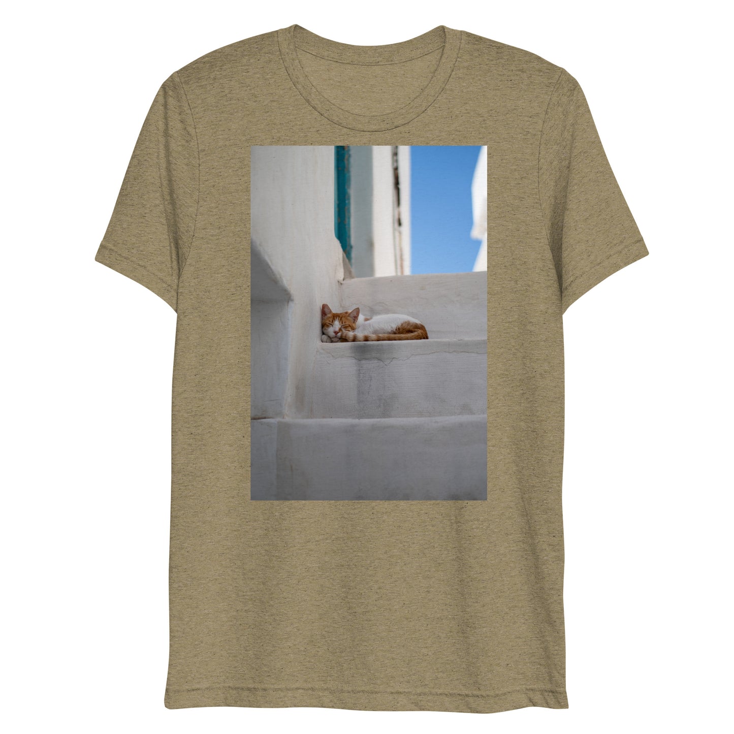 Mykonos Cat T