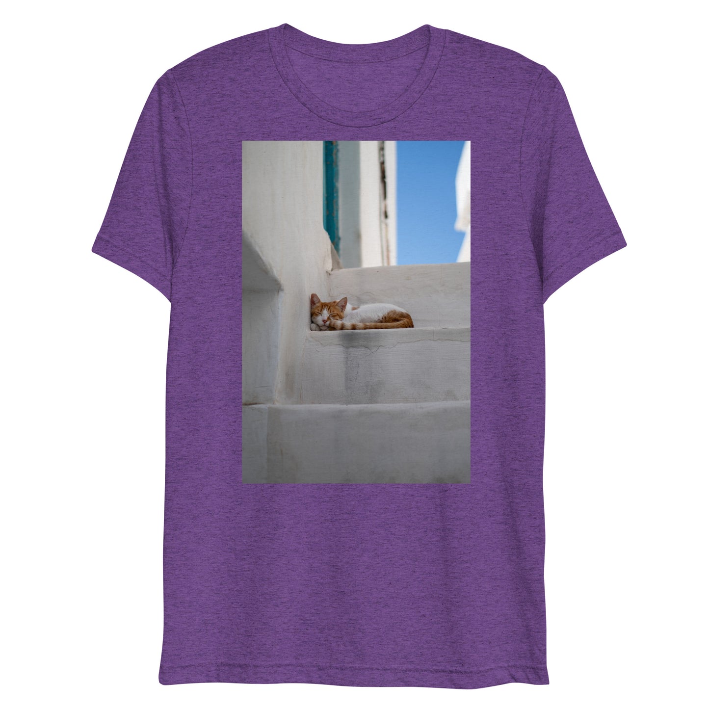 Mykonos Cat T
