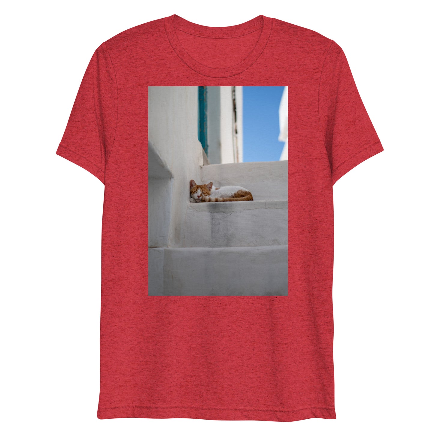 Mykonos Cat T