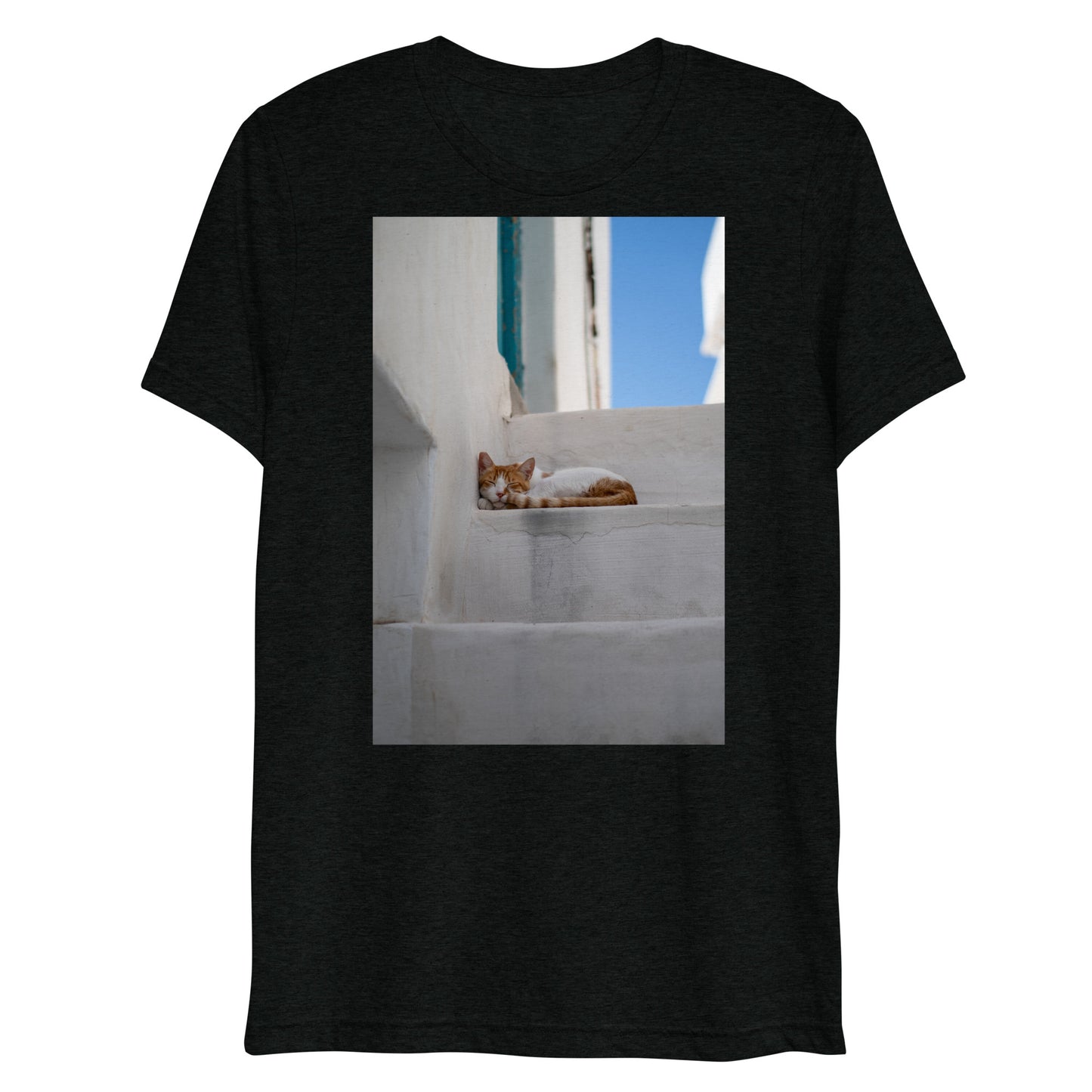 Mykonos Cat T