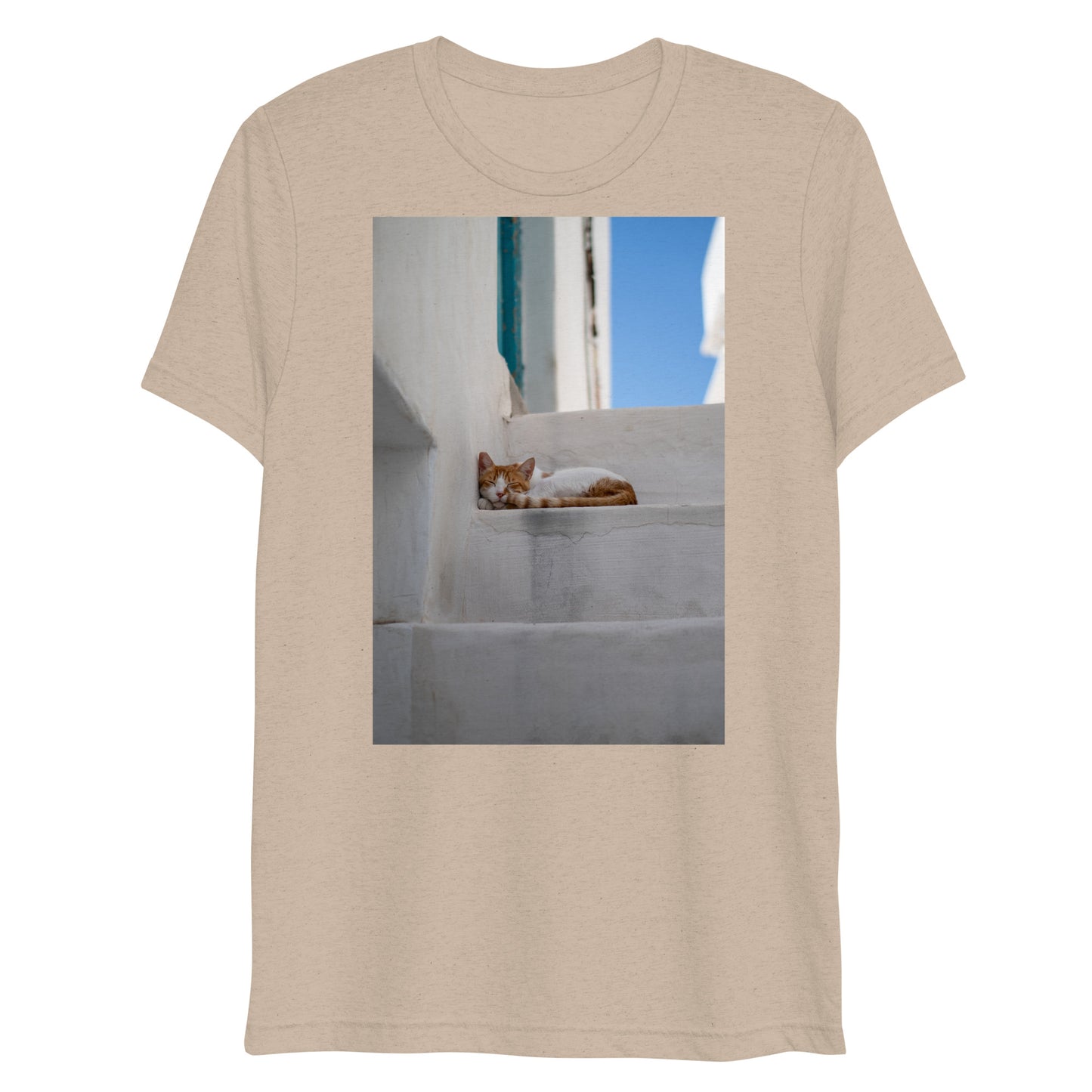 Mykonos Cat T