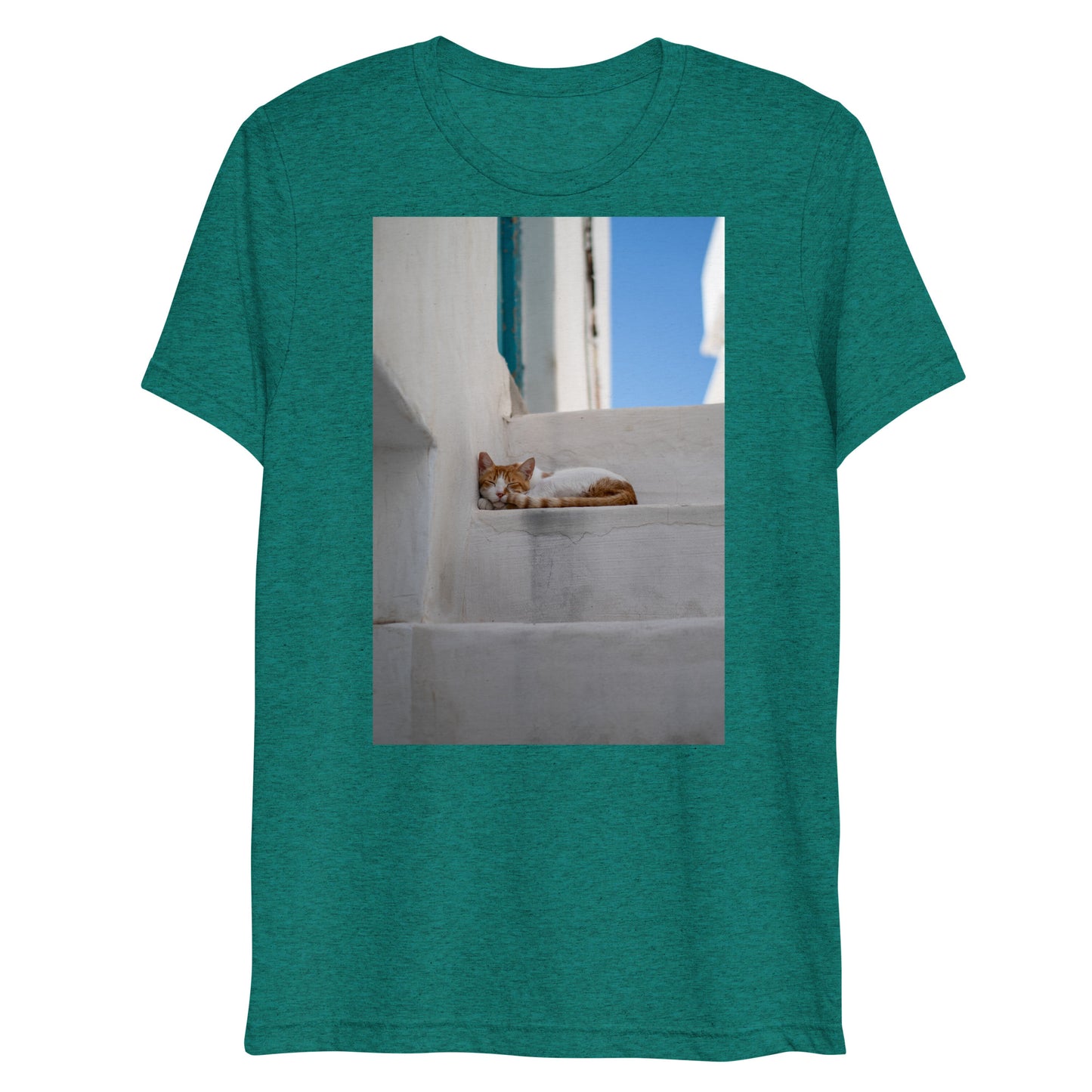 Mykonos Cat T