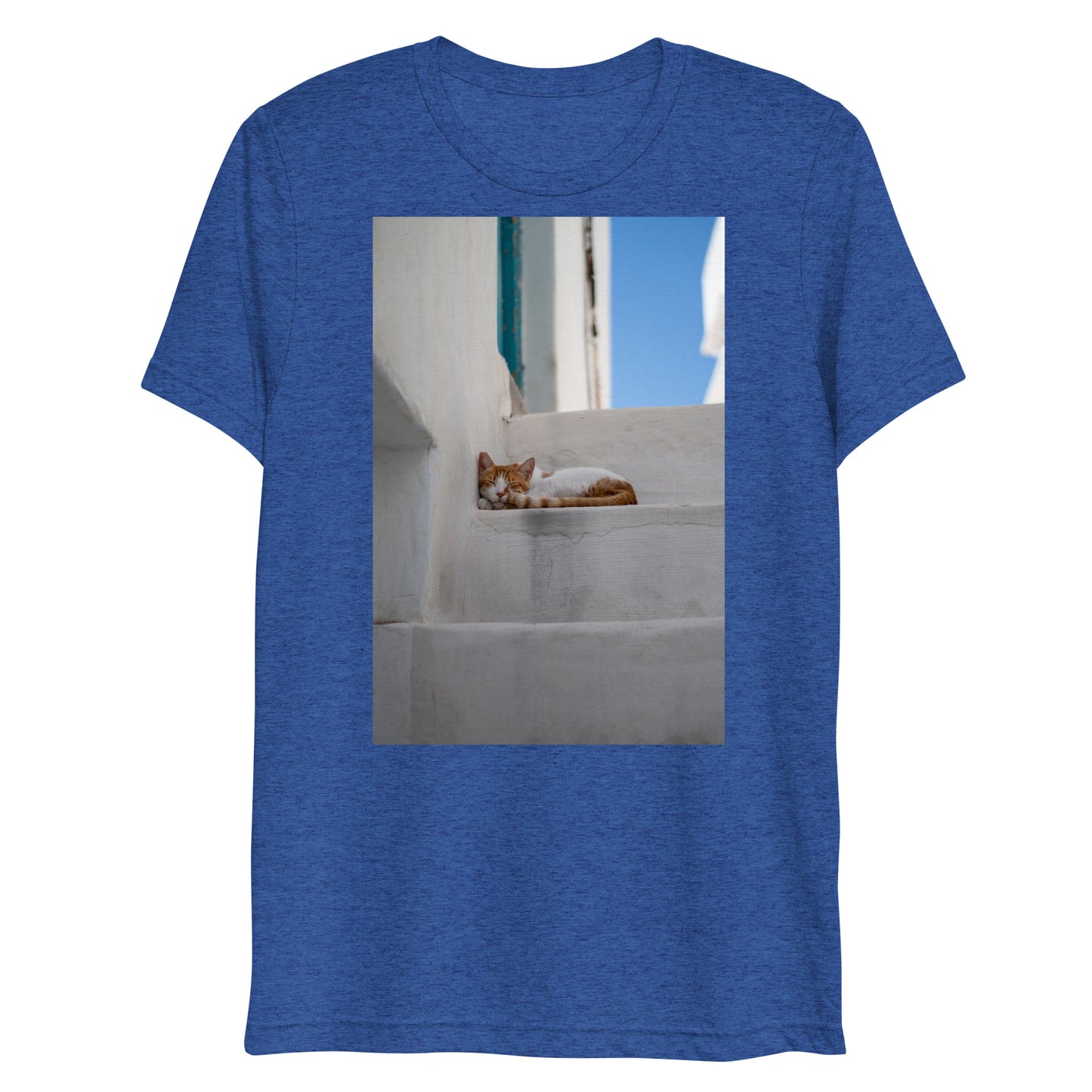 Mykonos Cat T