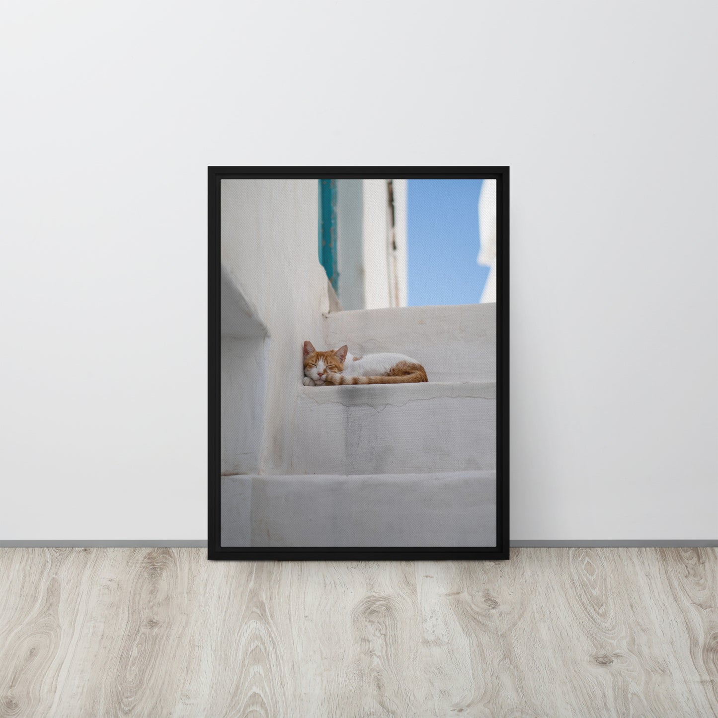 Mykonos Cat Framed canvas