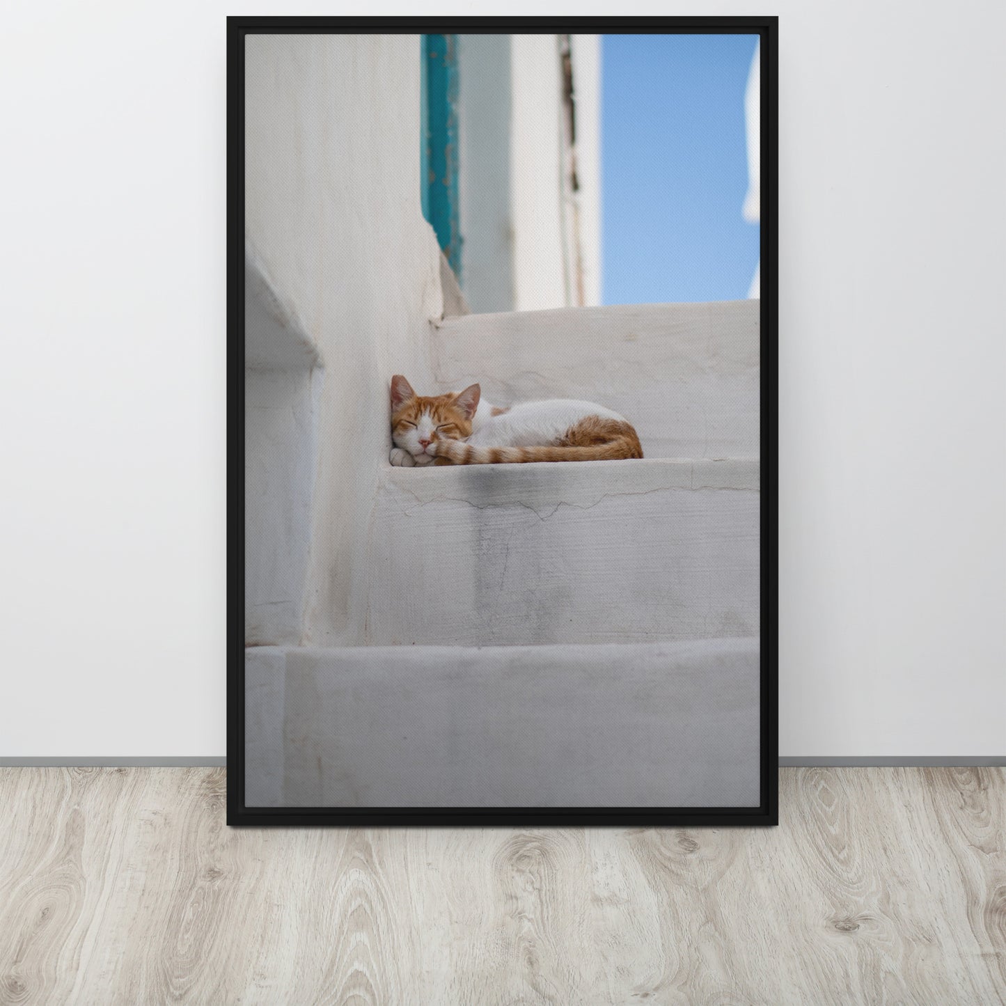 Mykonos Cat Framed canvas