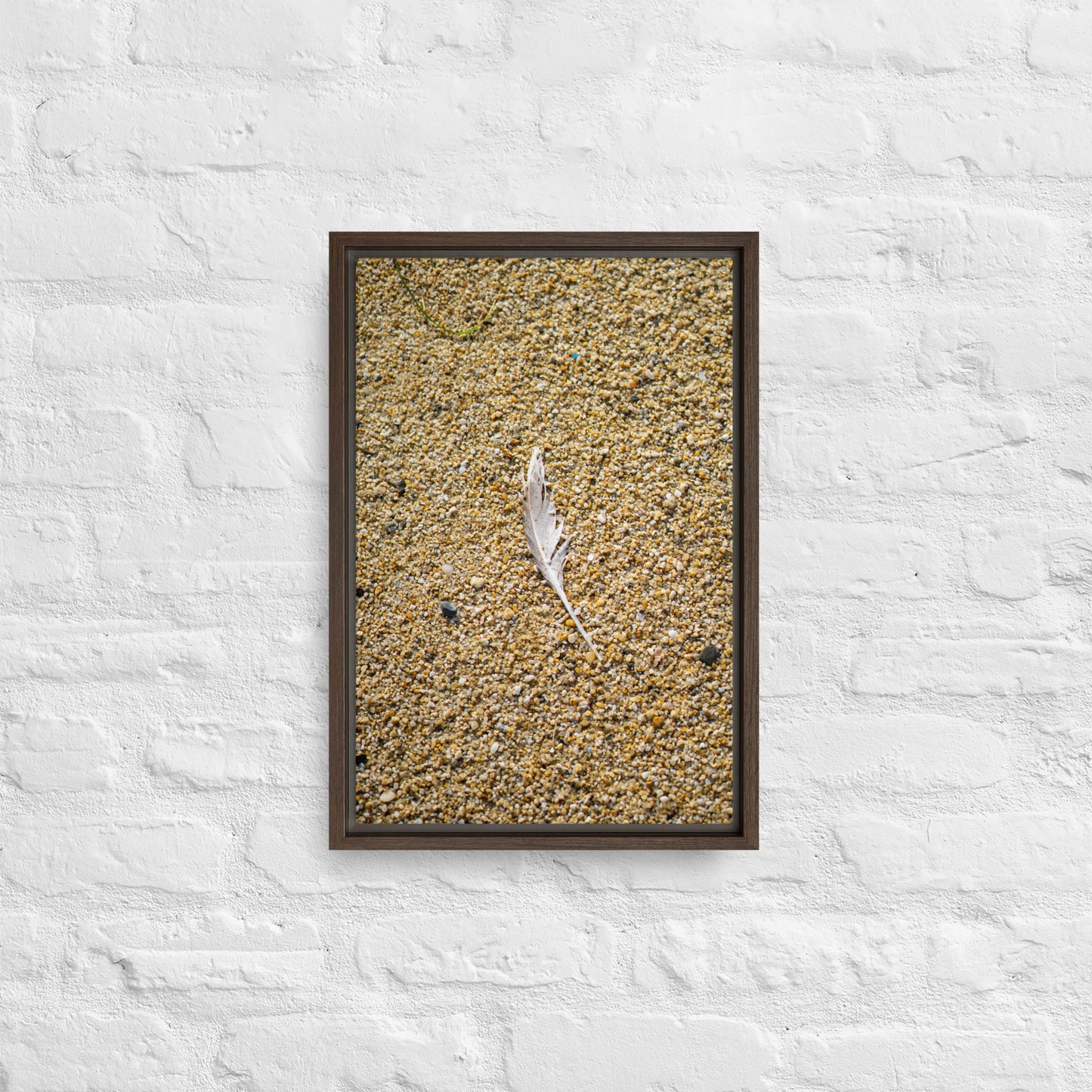 The Lone Feather Framed canvas