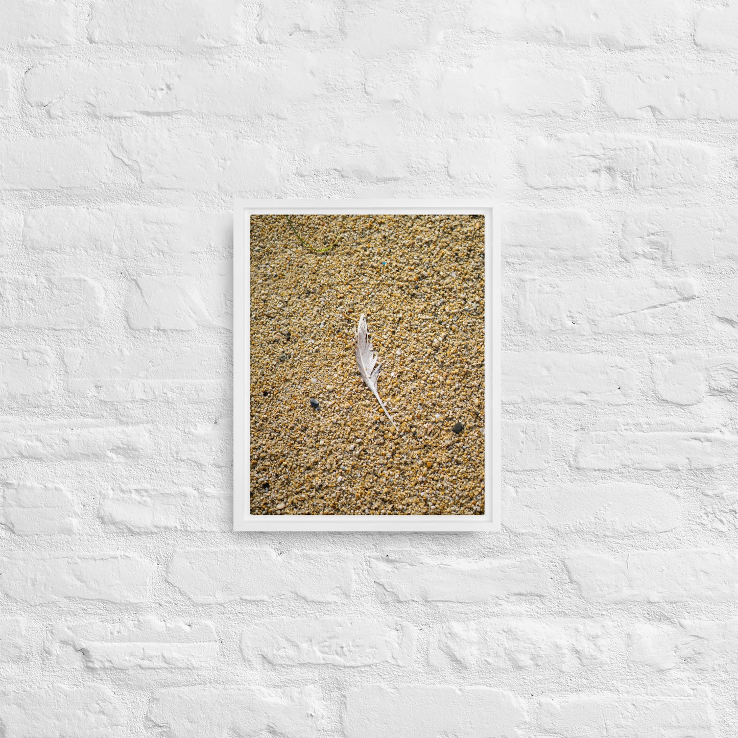 The Lone Feather Framed canvas