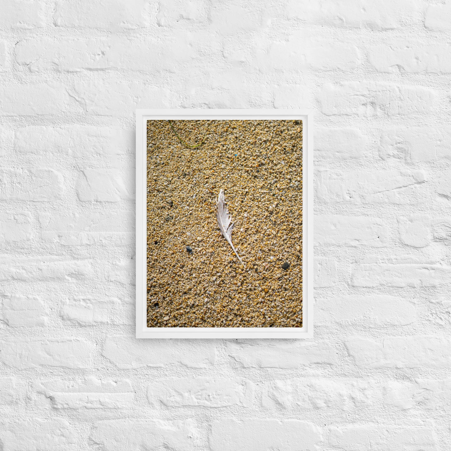 The Lone Feather Framed canvas