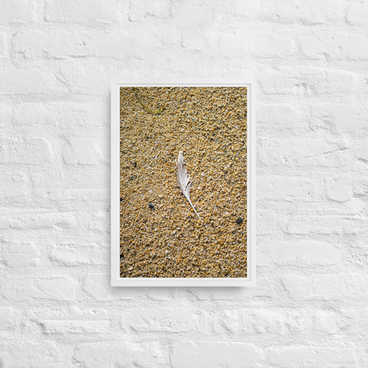 The Lone Feather Framed canvas